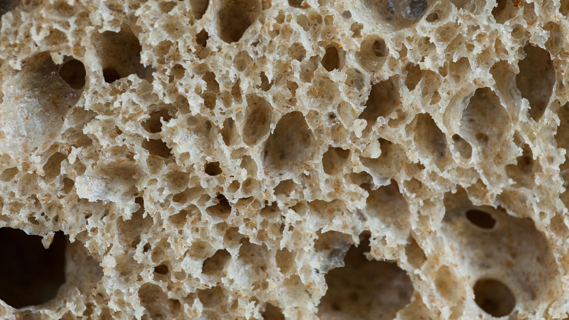 white and gray stone fragments