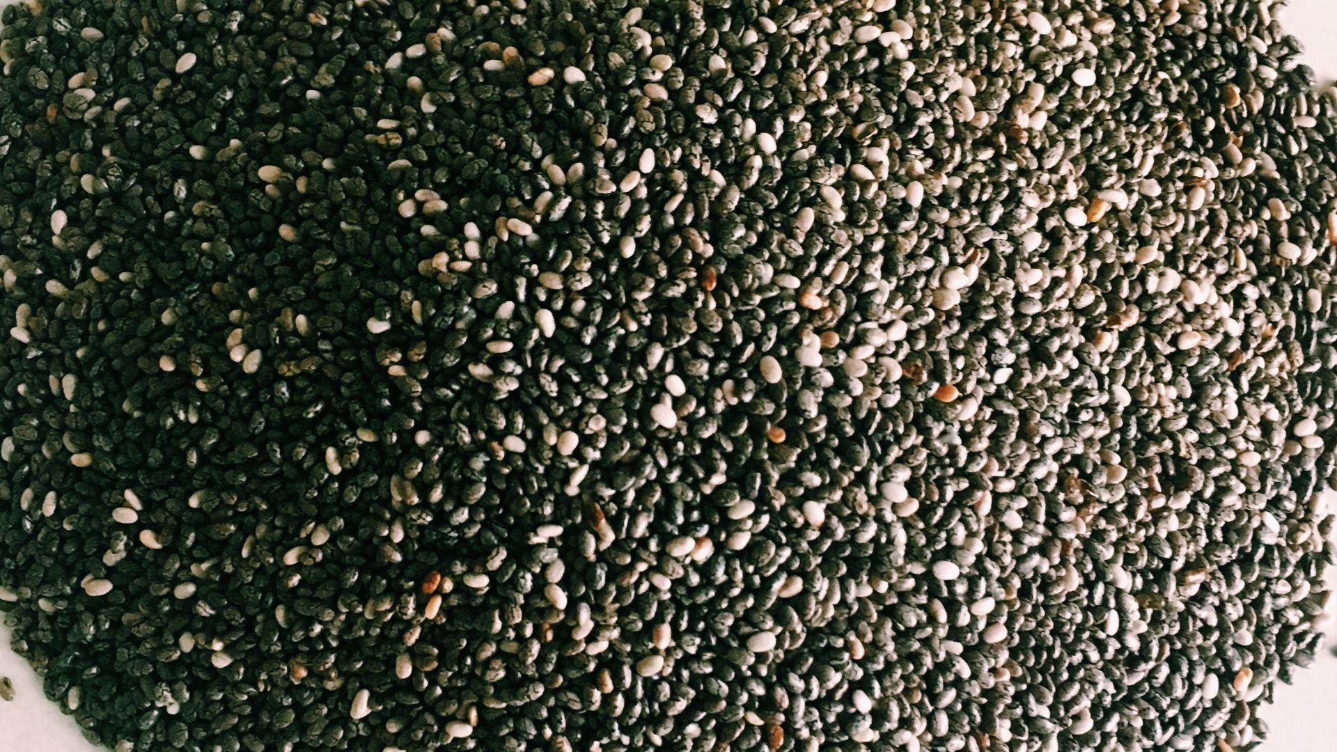 File:Chia seeds.jpg