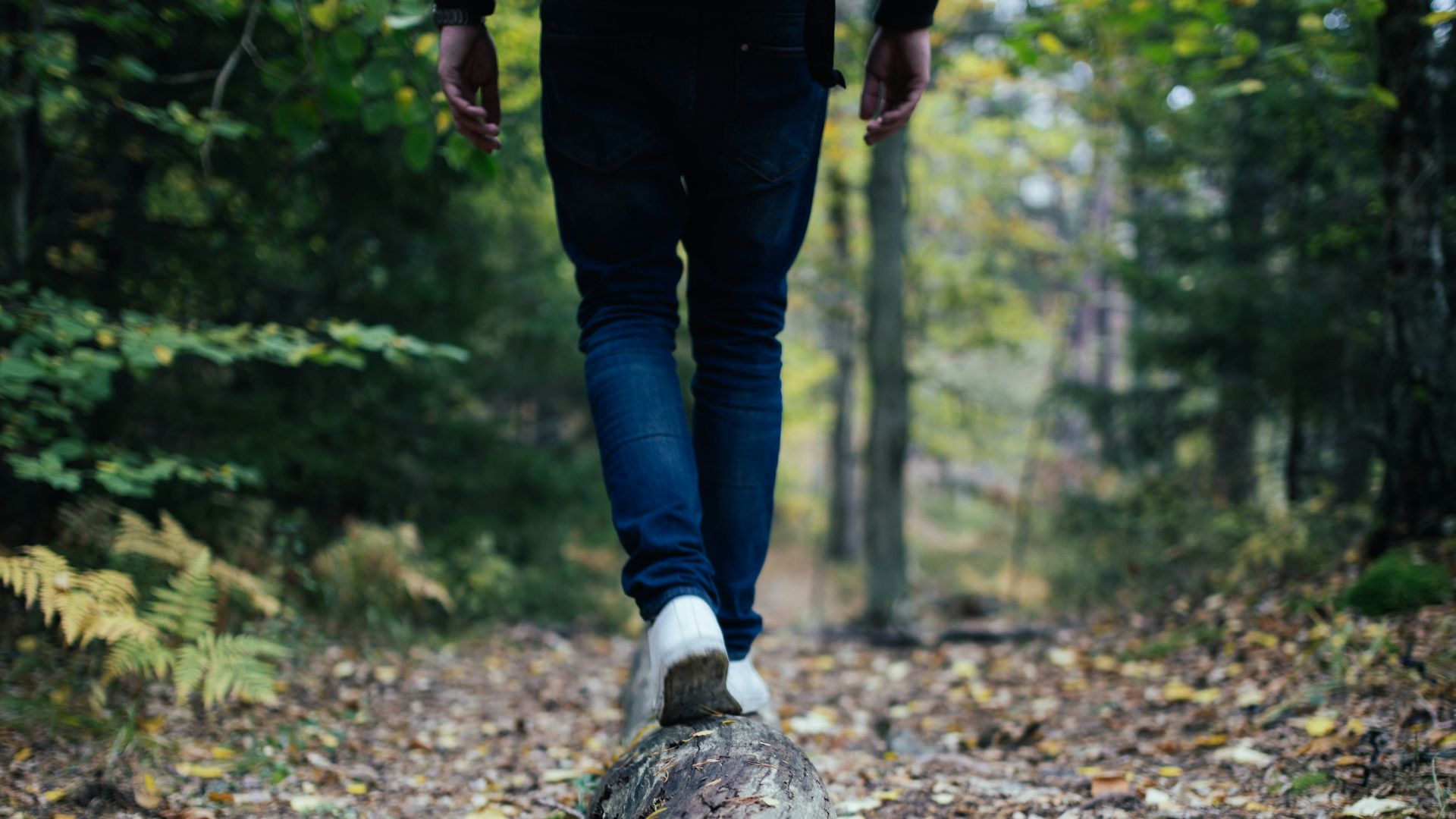 man walking on forest