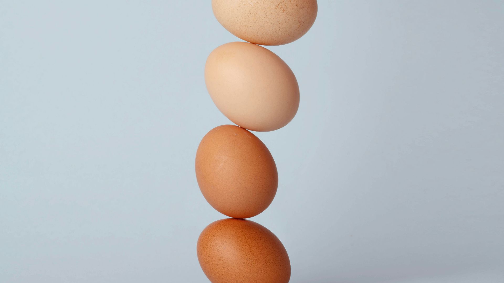 brown and white eggs