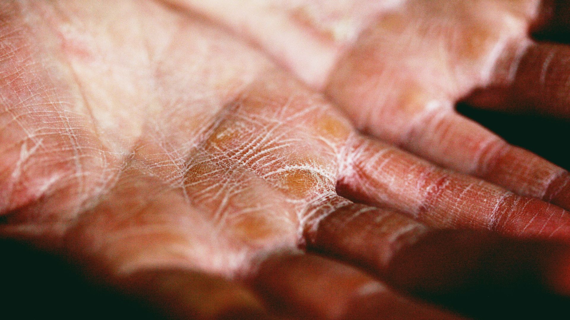 person holding brown and white textile