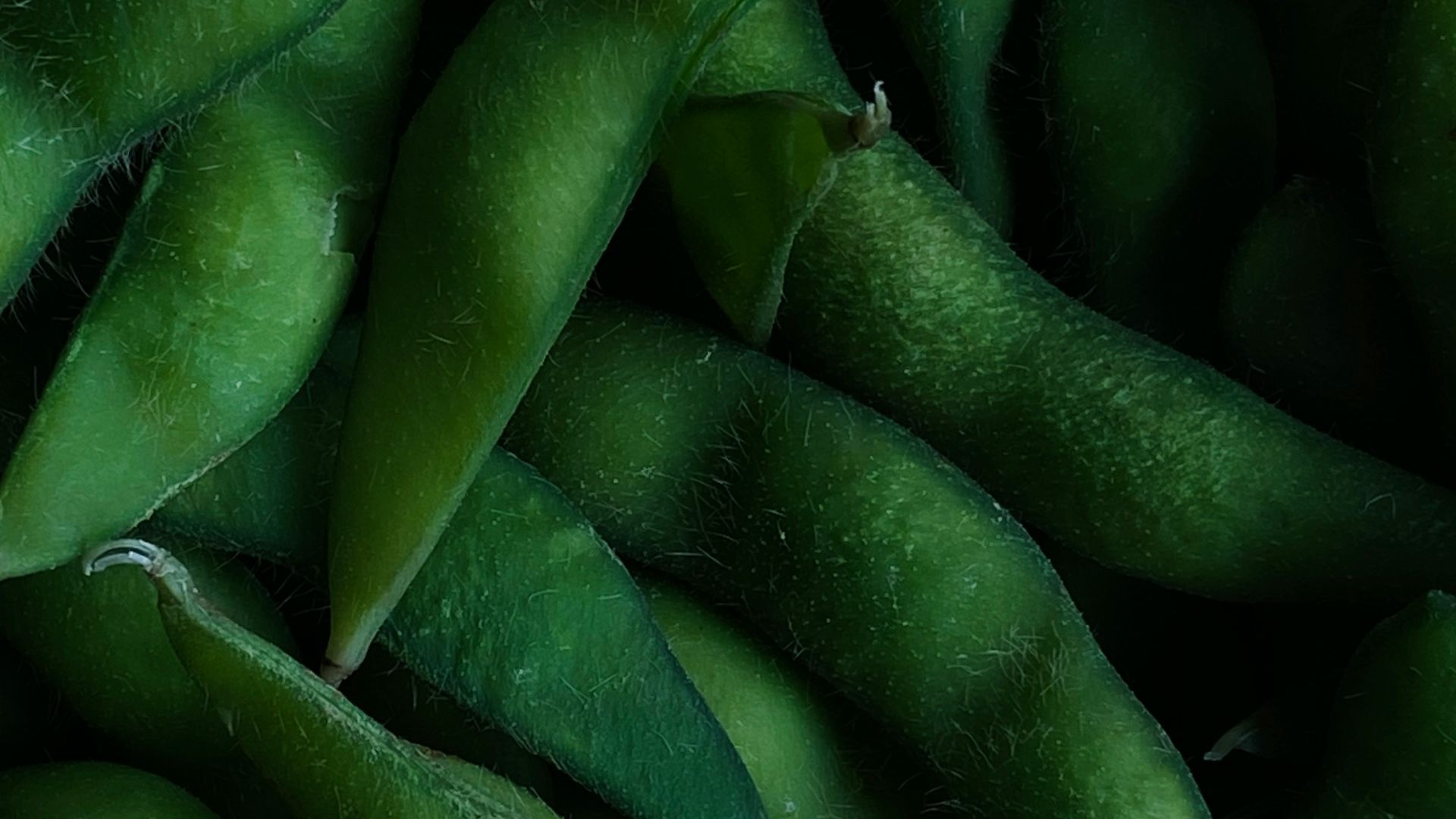 a pile of green beans sitting next to each other