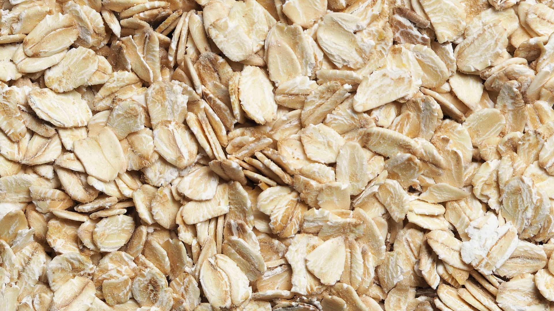 brown dried leaves on ground