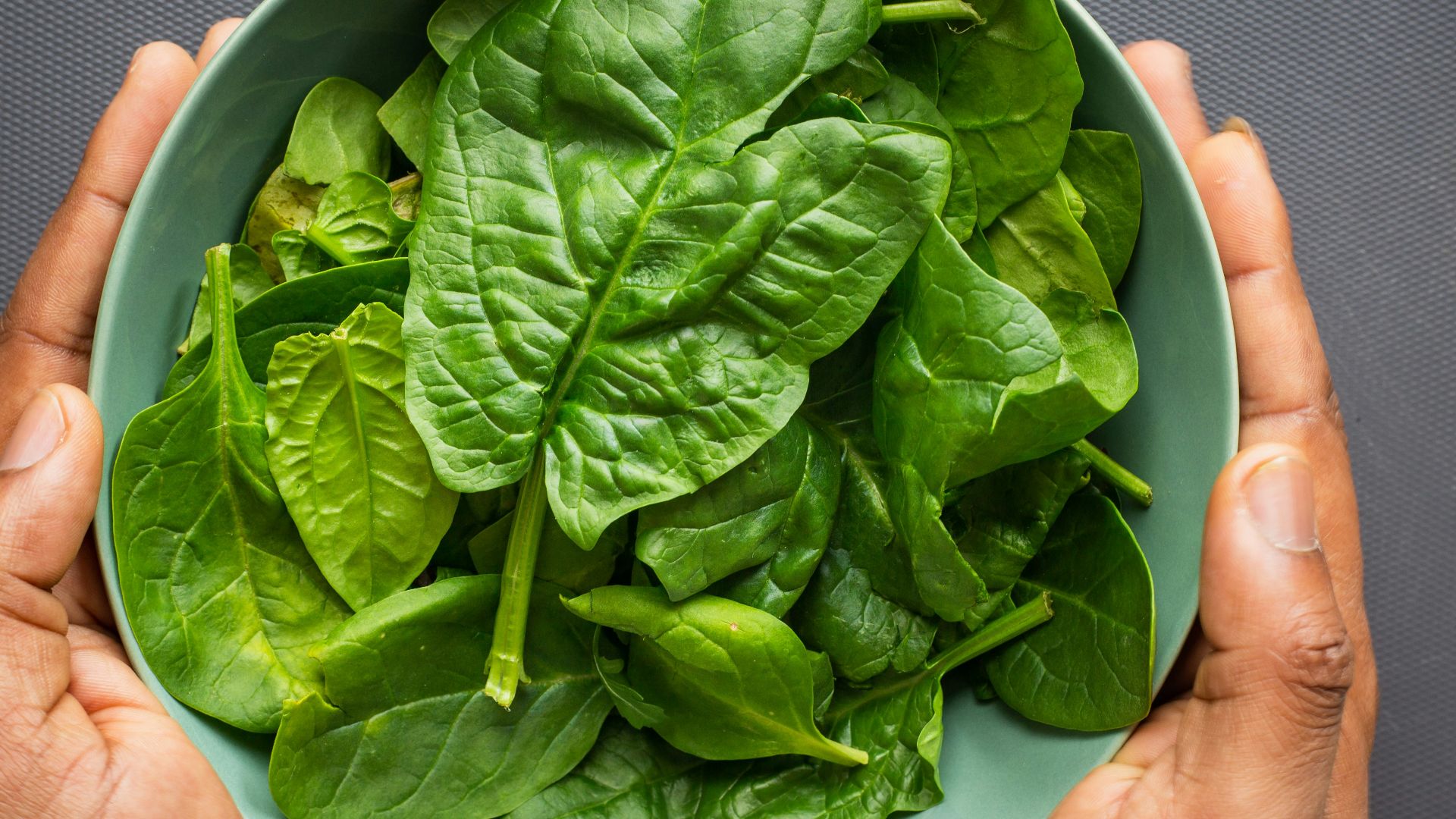 green leaves on blue plastic bowl