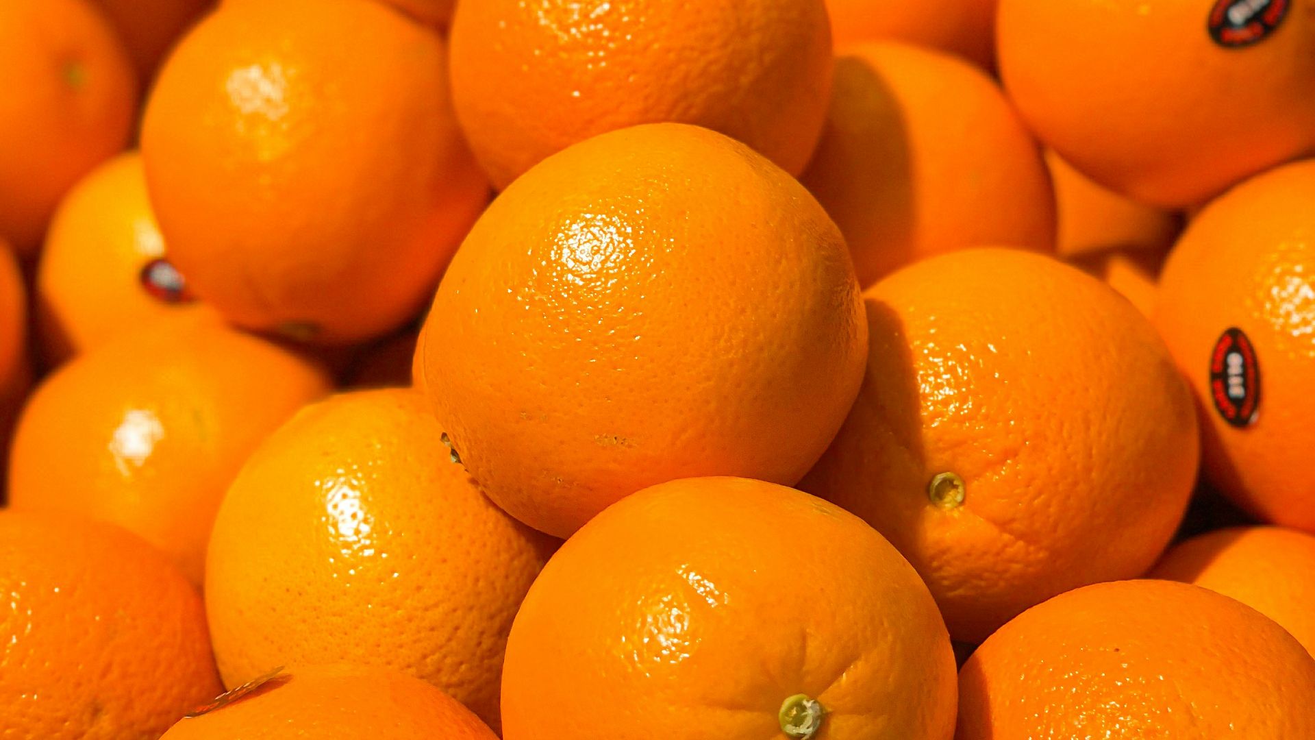 orange fruits on white ceramic plate