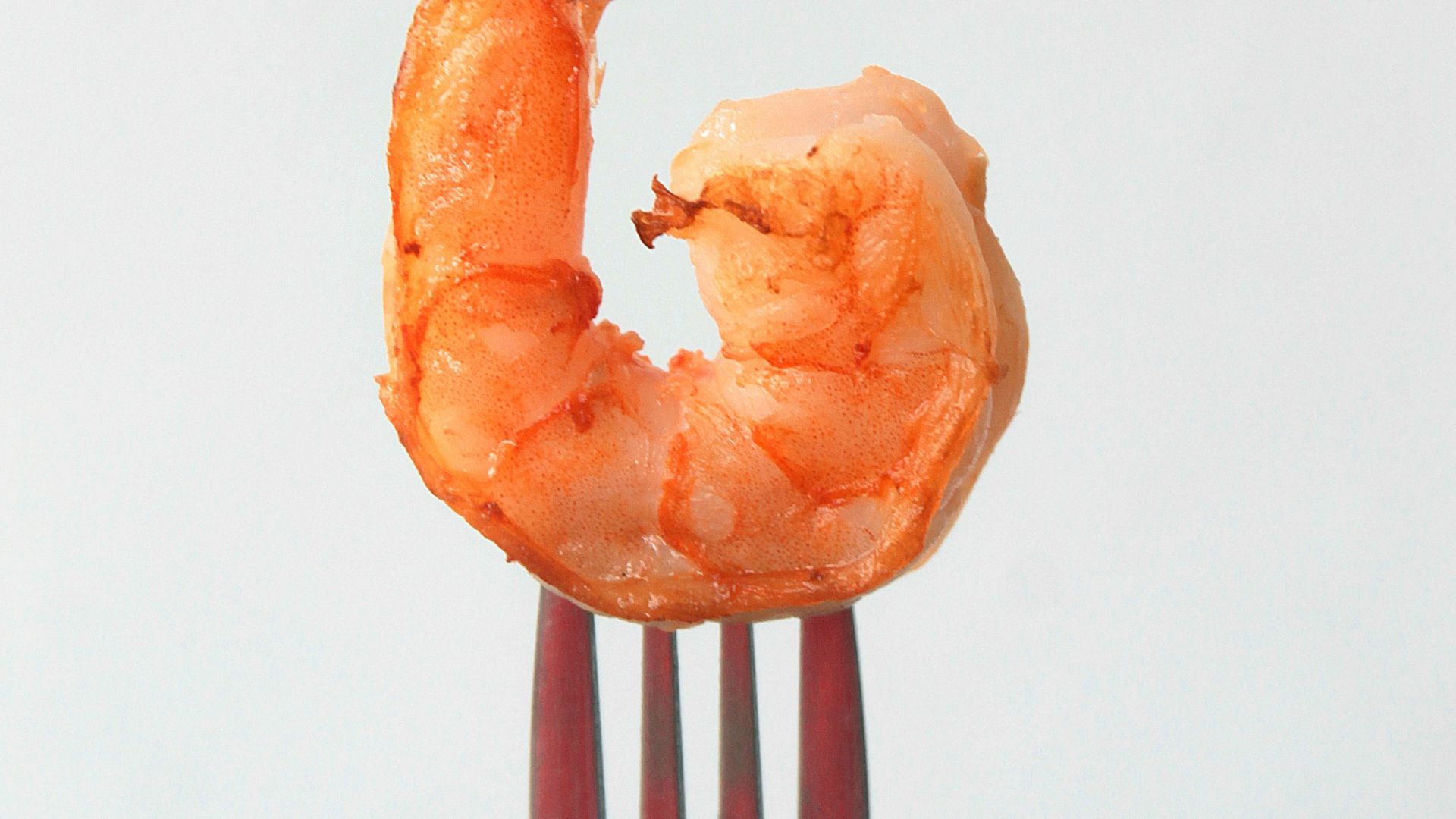 orange clay on stainless steel fork