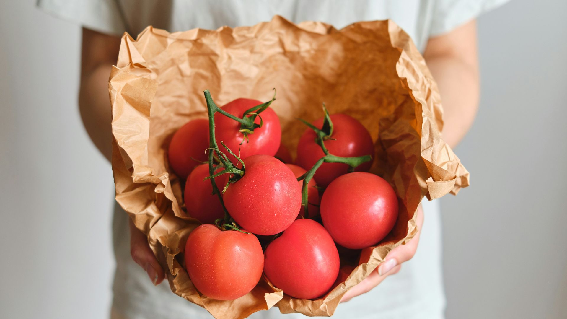 Hands holding fresh tomatoes in brown paper
