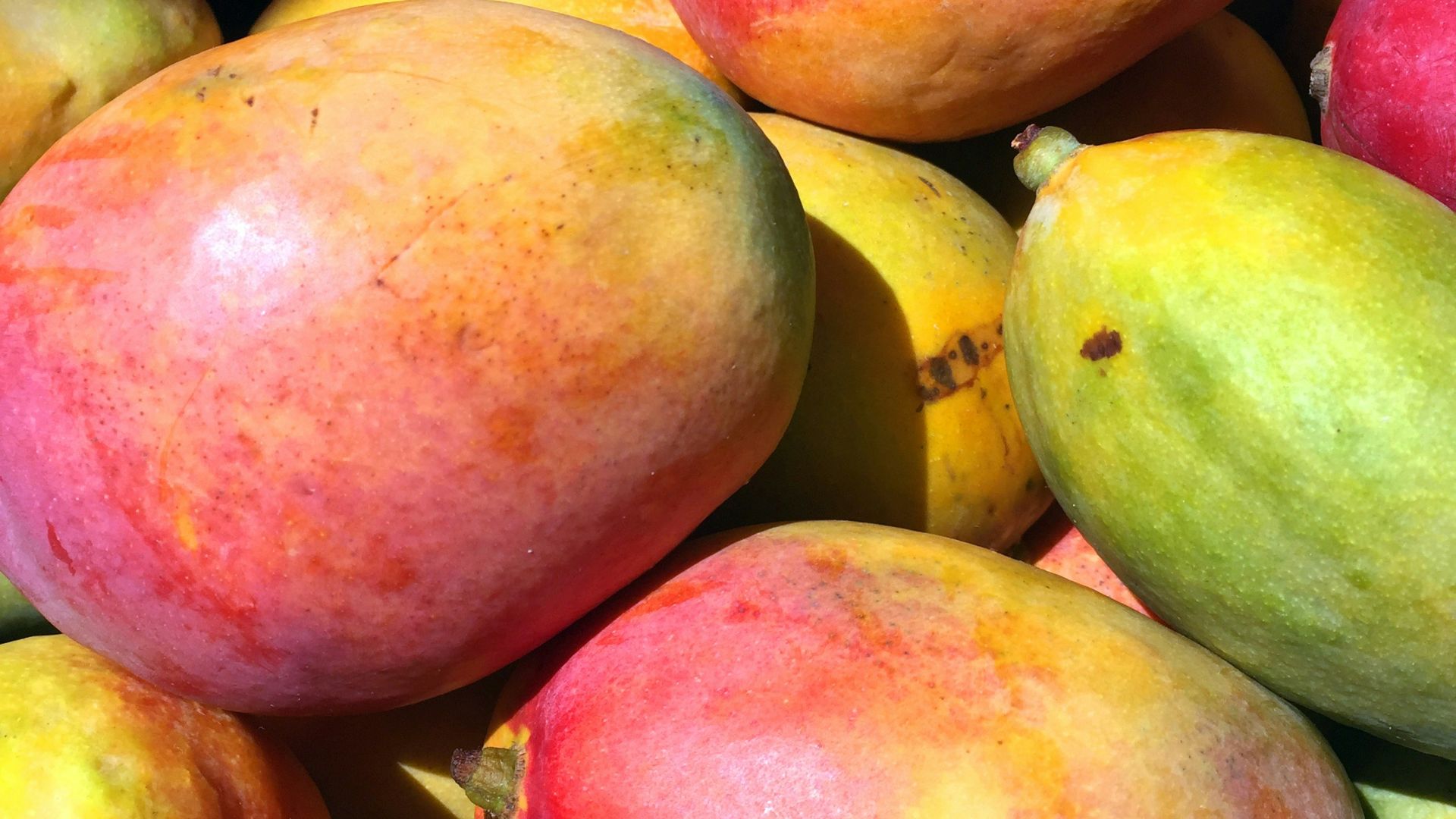 red and yellow round fruits