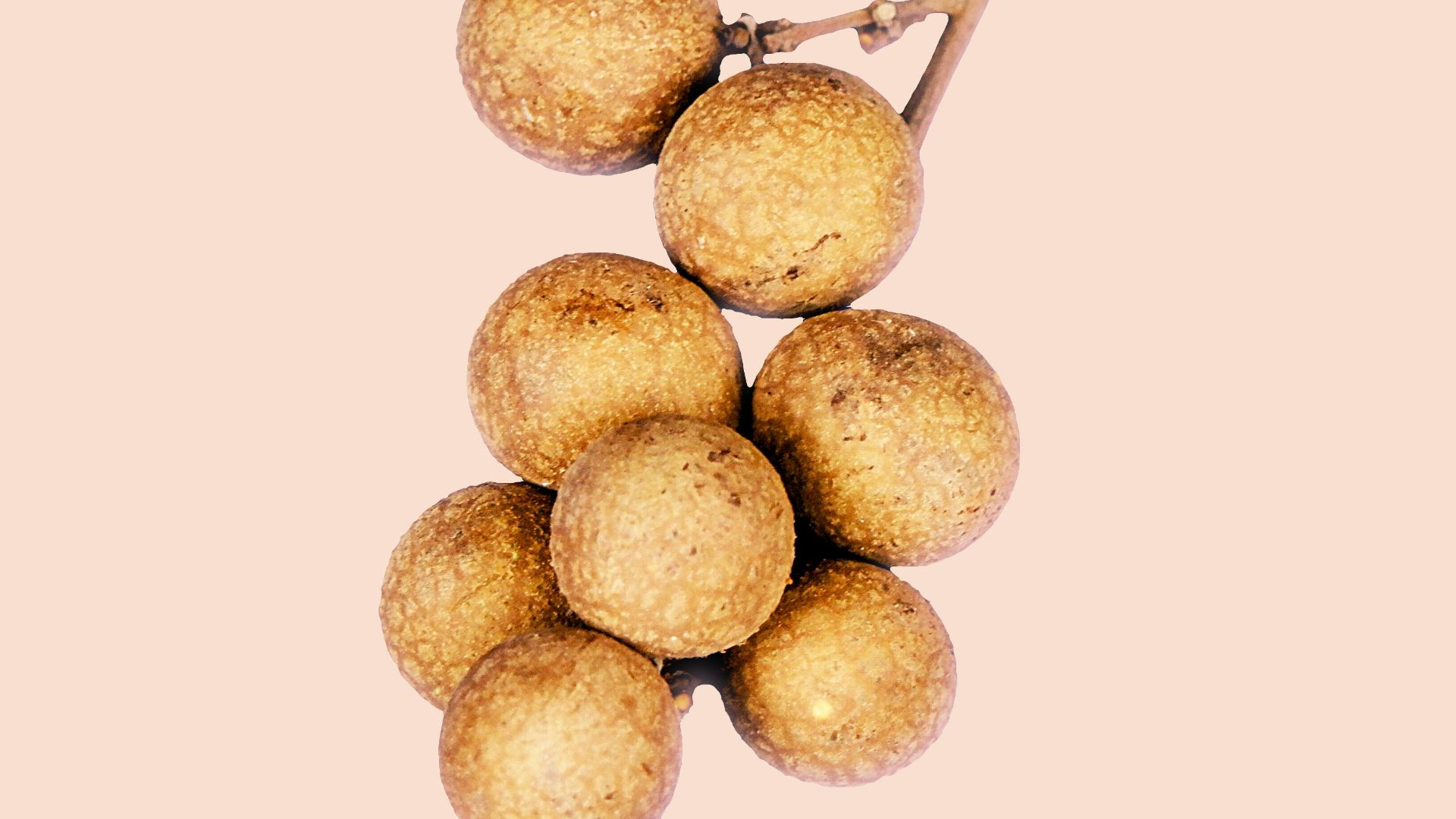 brown round fruit on white background