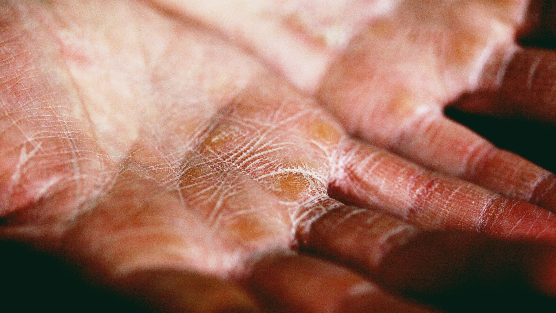 person holding brown and white textile