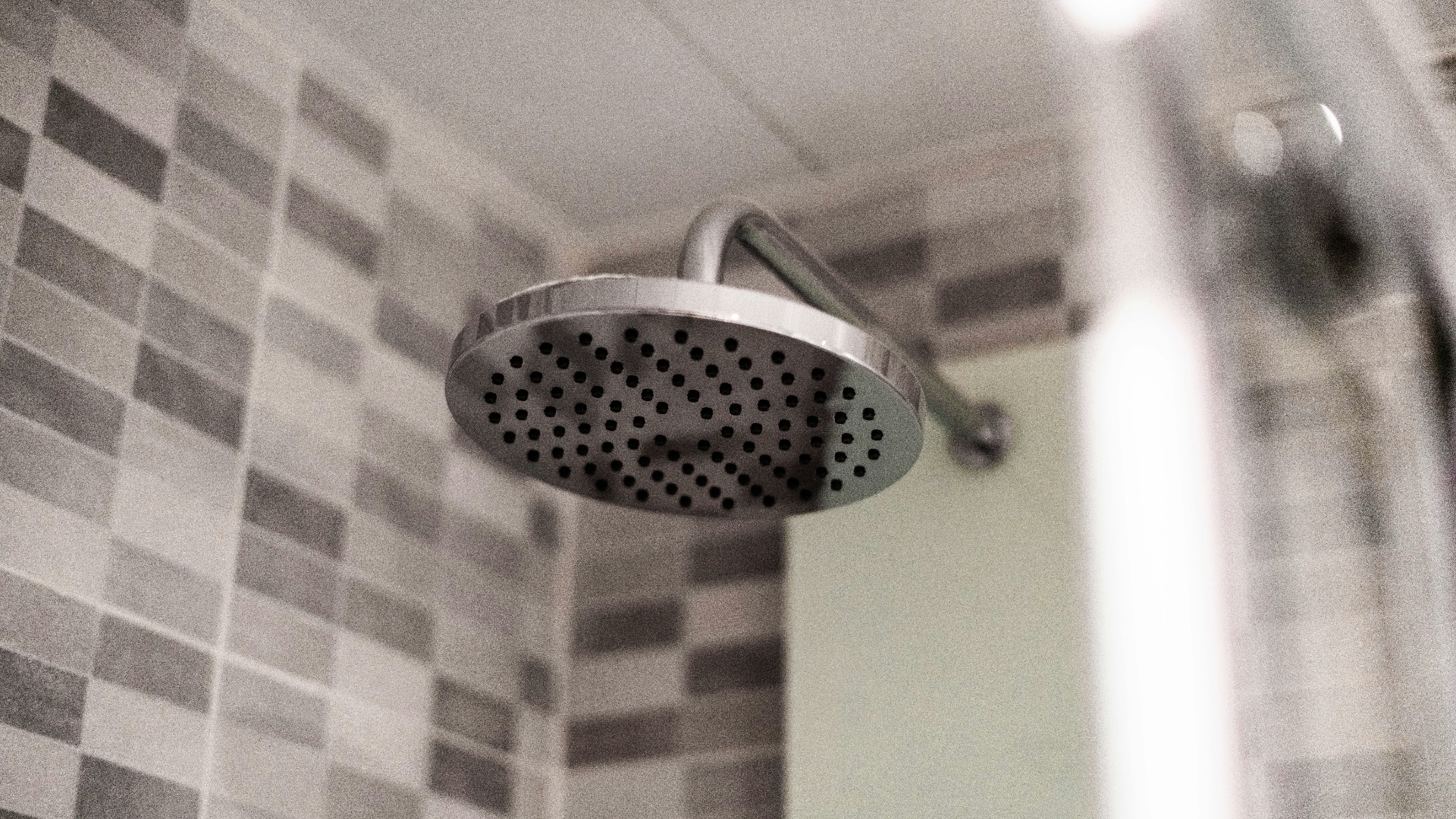 grey stainless steel shower head