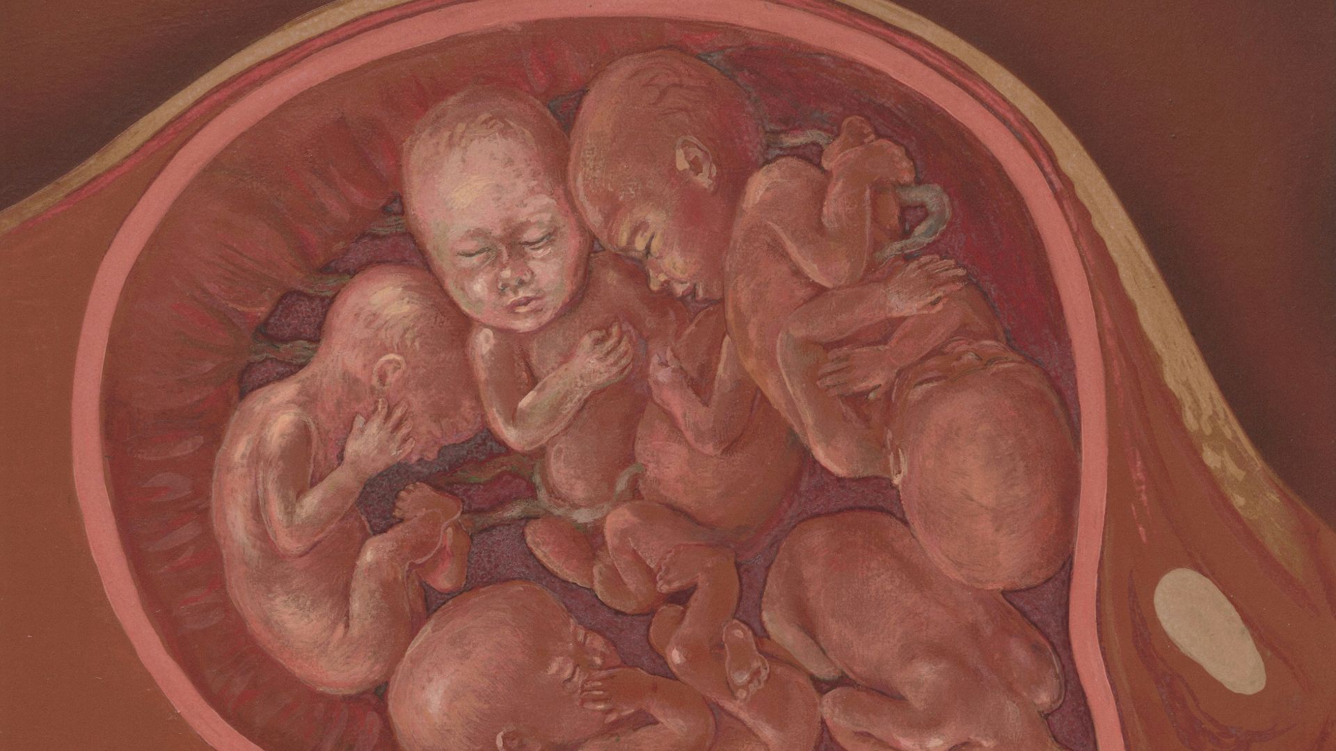 a painting of a human stomach with babies in it