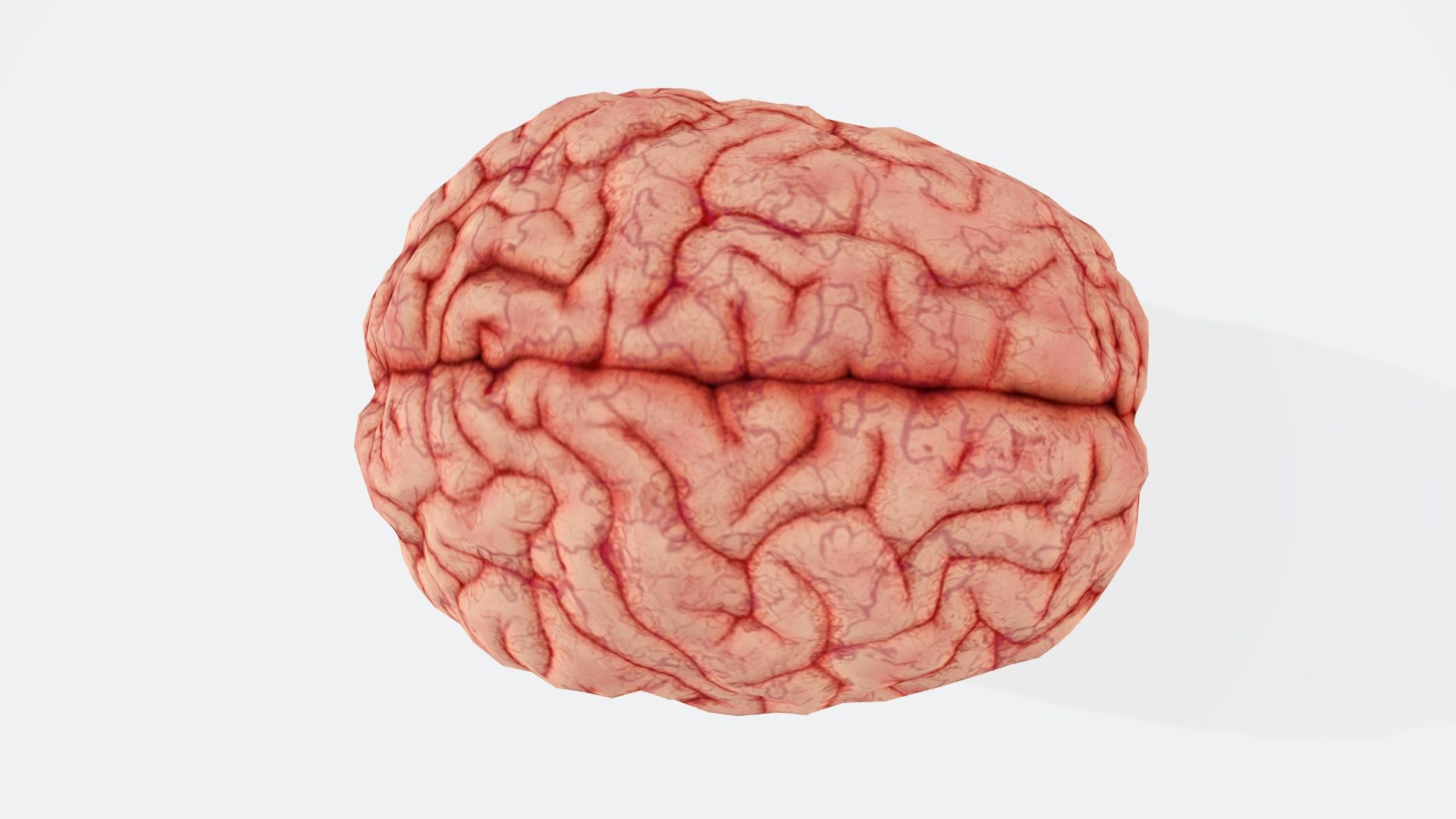 1791471931d8dff5fc685ca7ff11d219e6b4691198d106e846.jpg