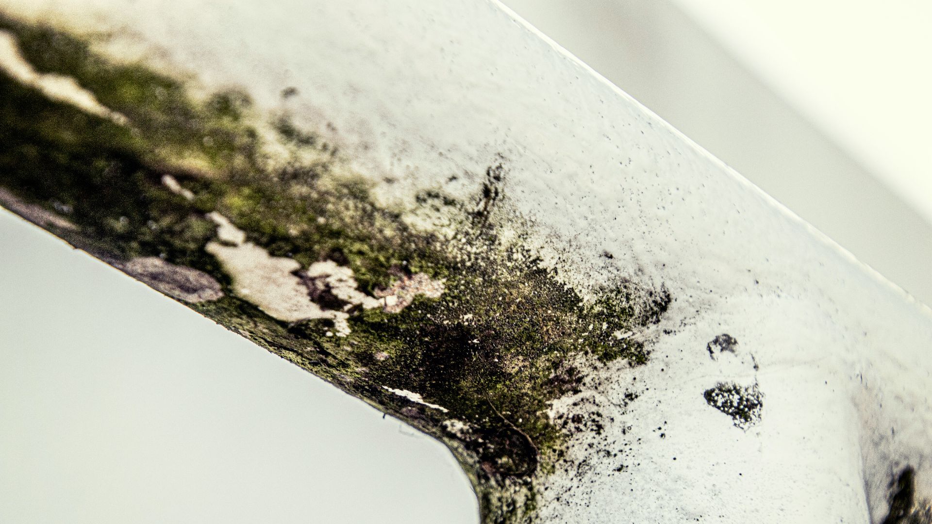 a close up of a piece of metal with moss growing on it