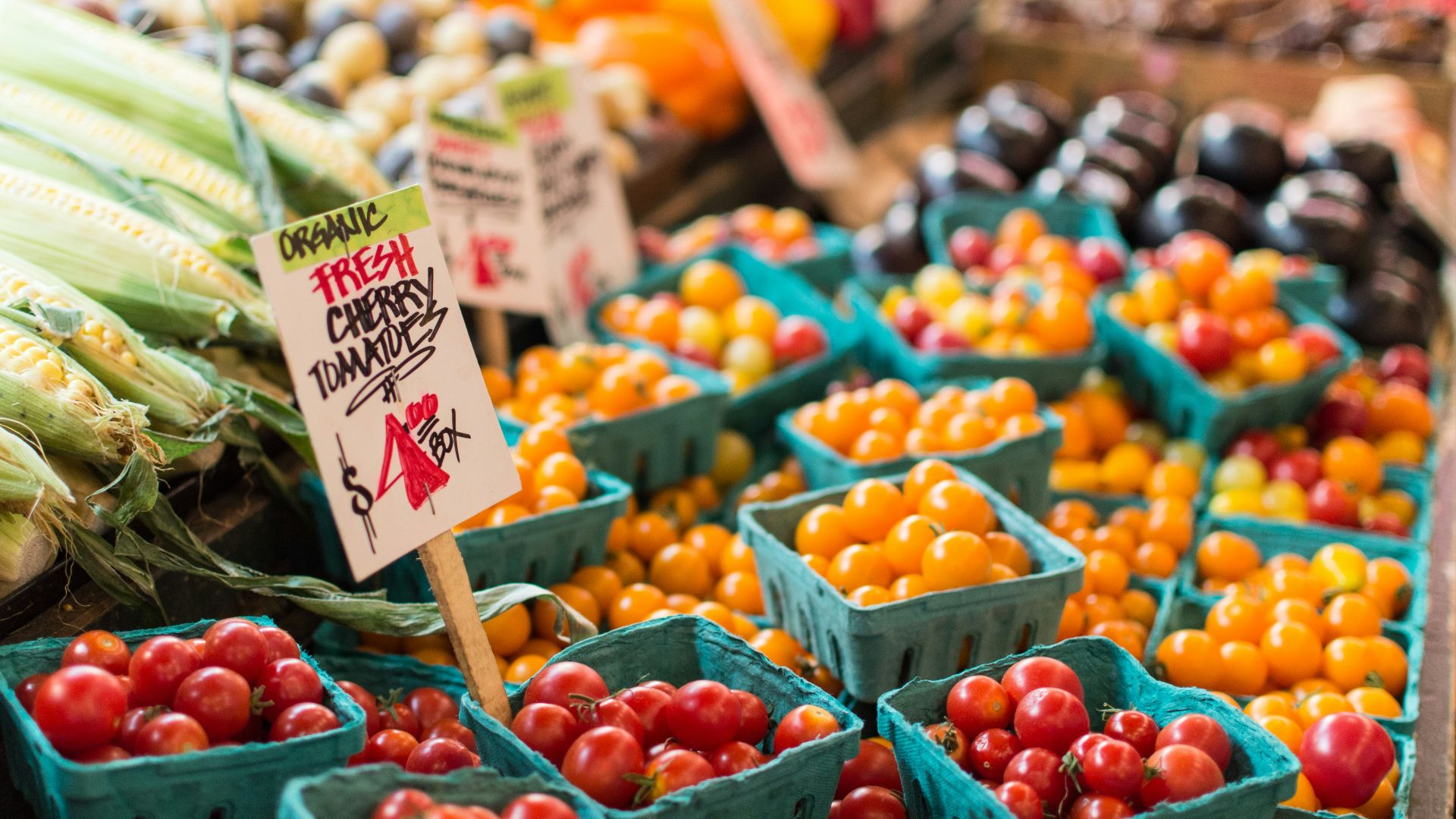red tomato lot on blue baskets