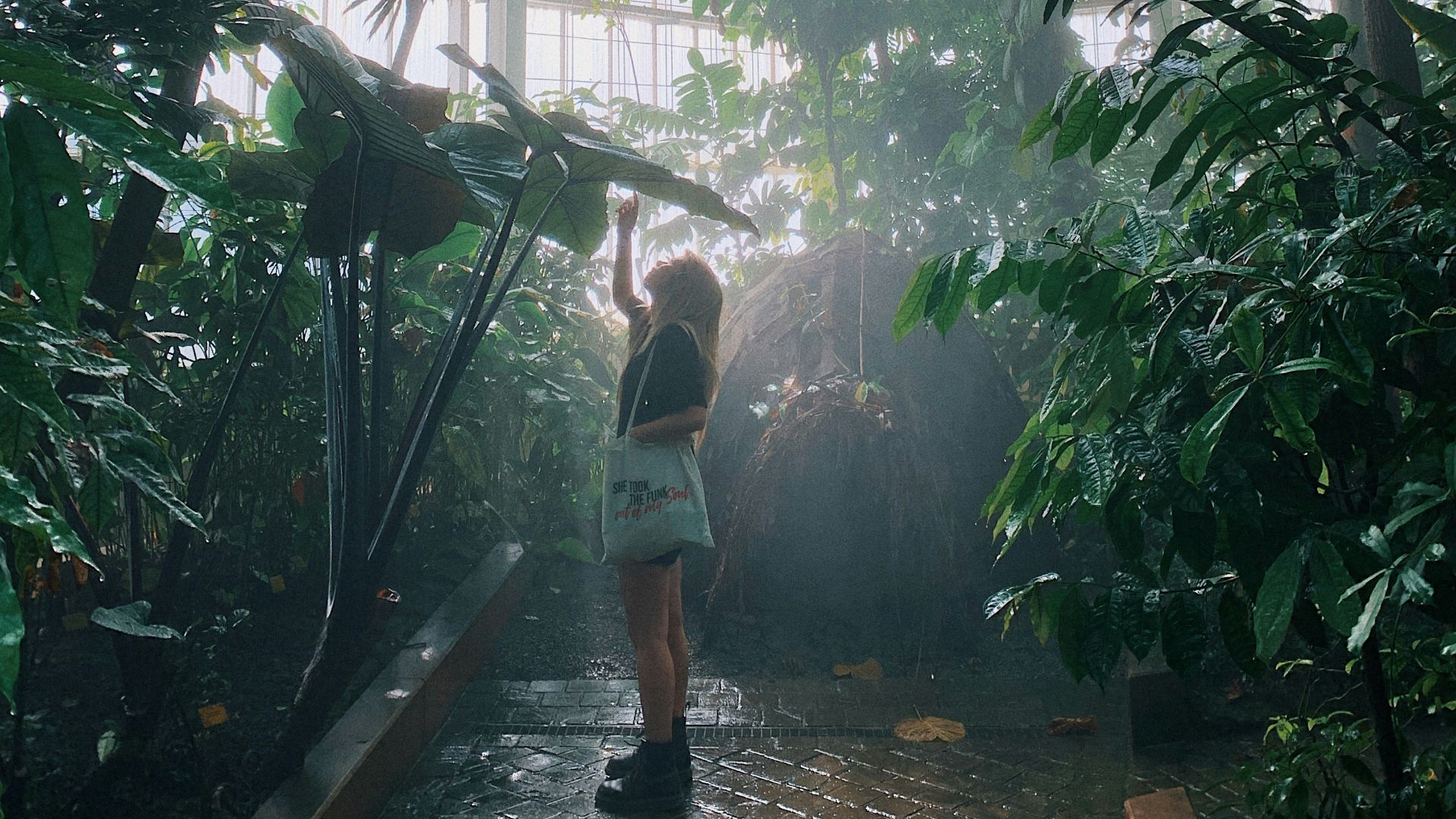 person in front of green plants