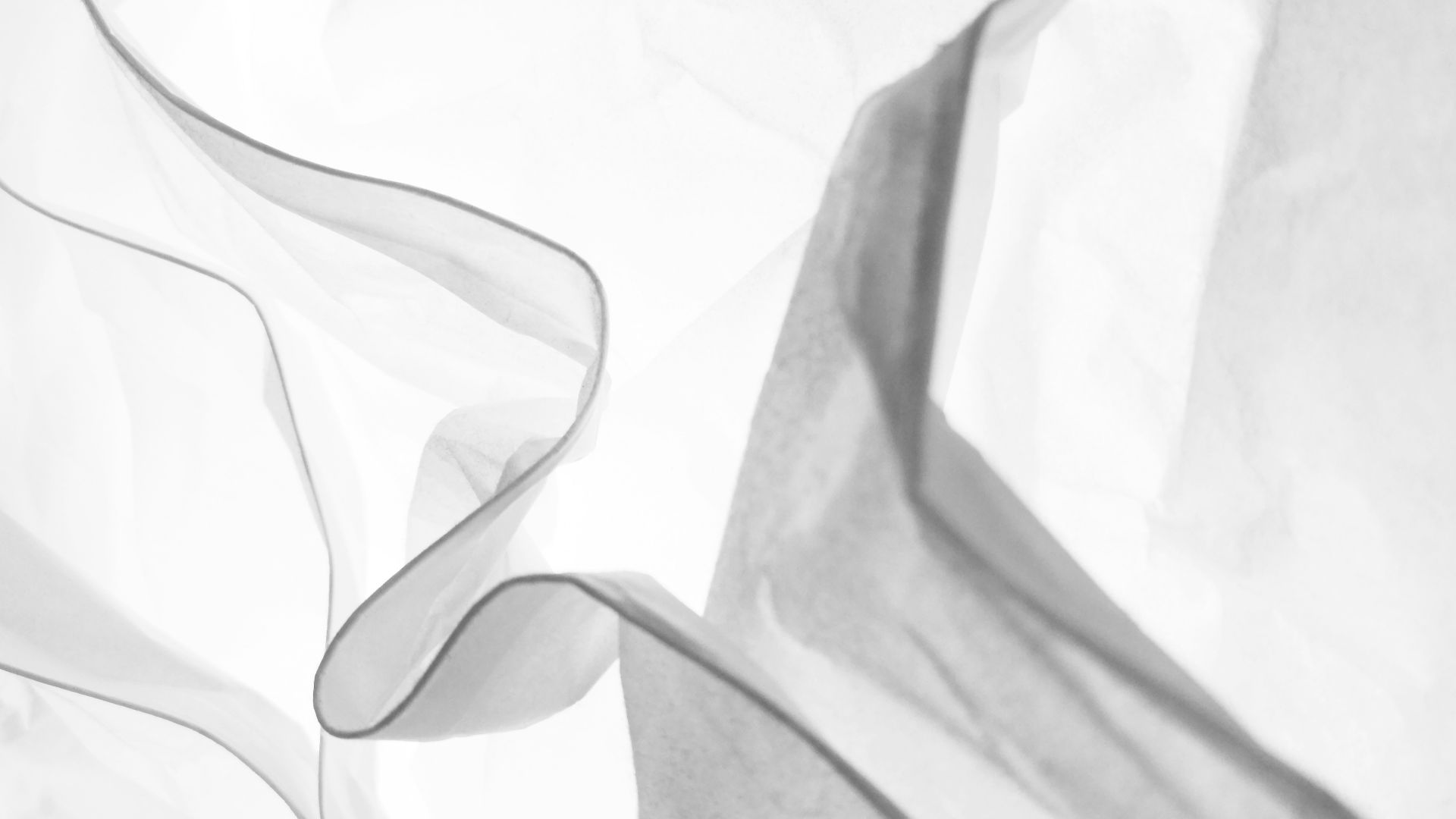 white textile on white textile