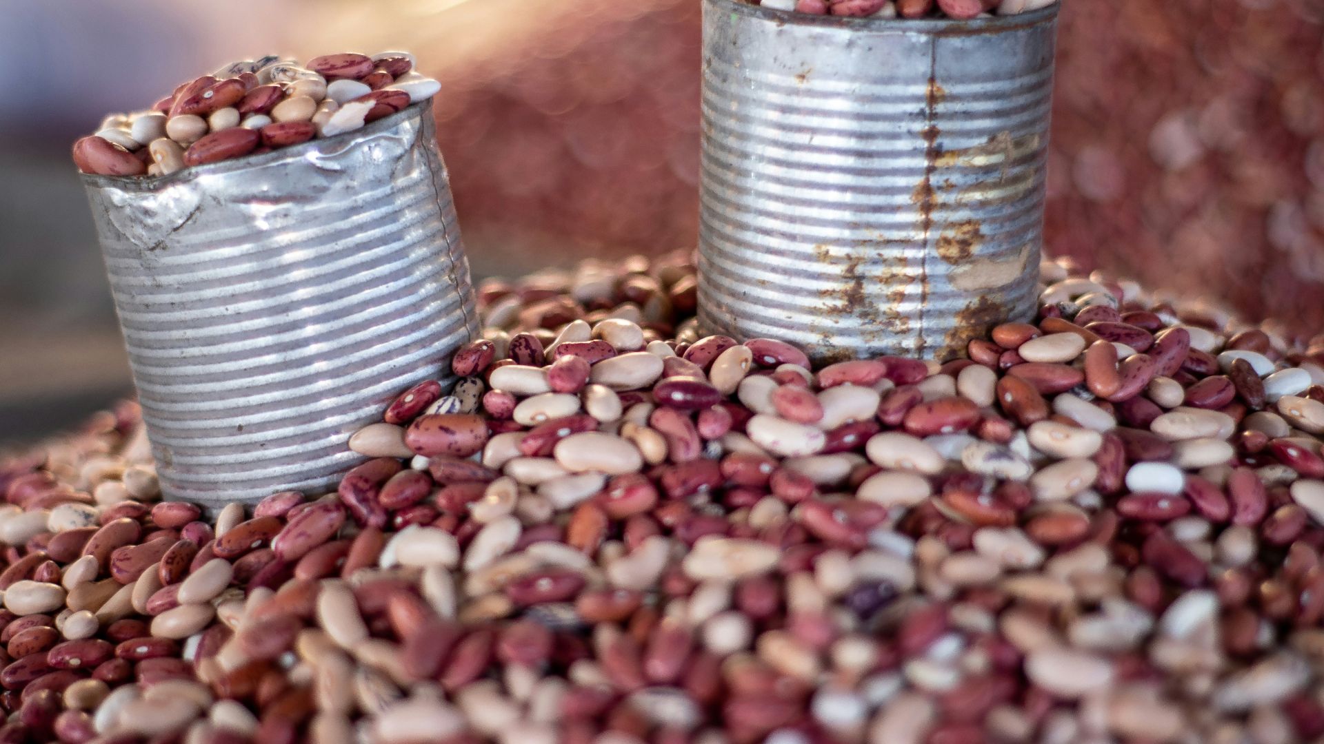 two cans of beans on bean lot