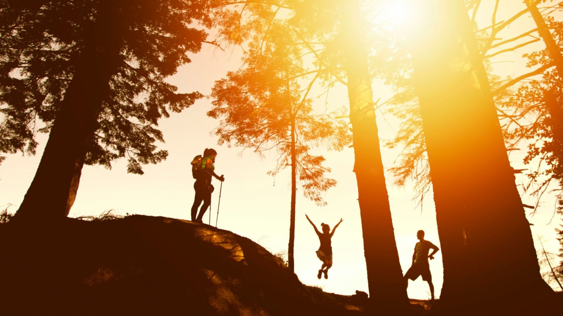 silhouette photo of three person near tall trees