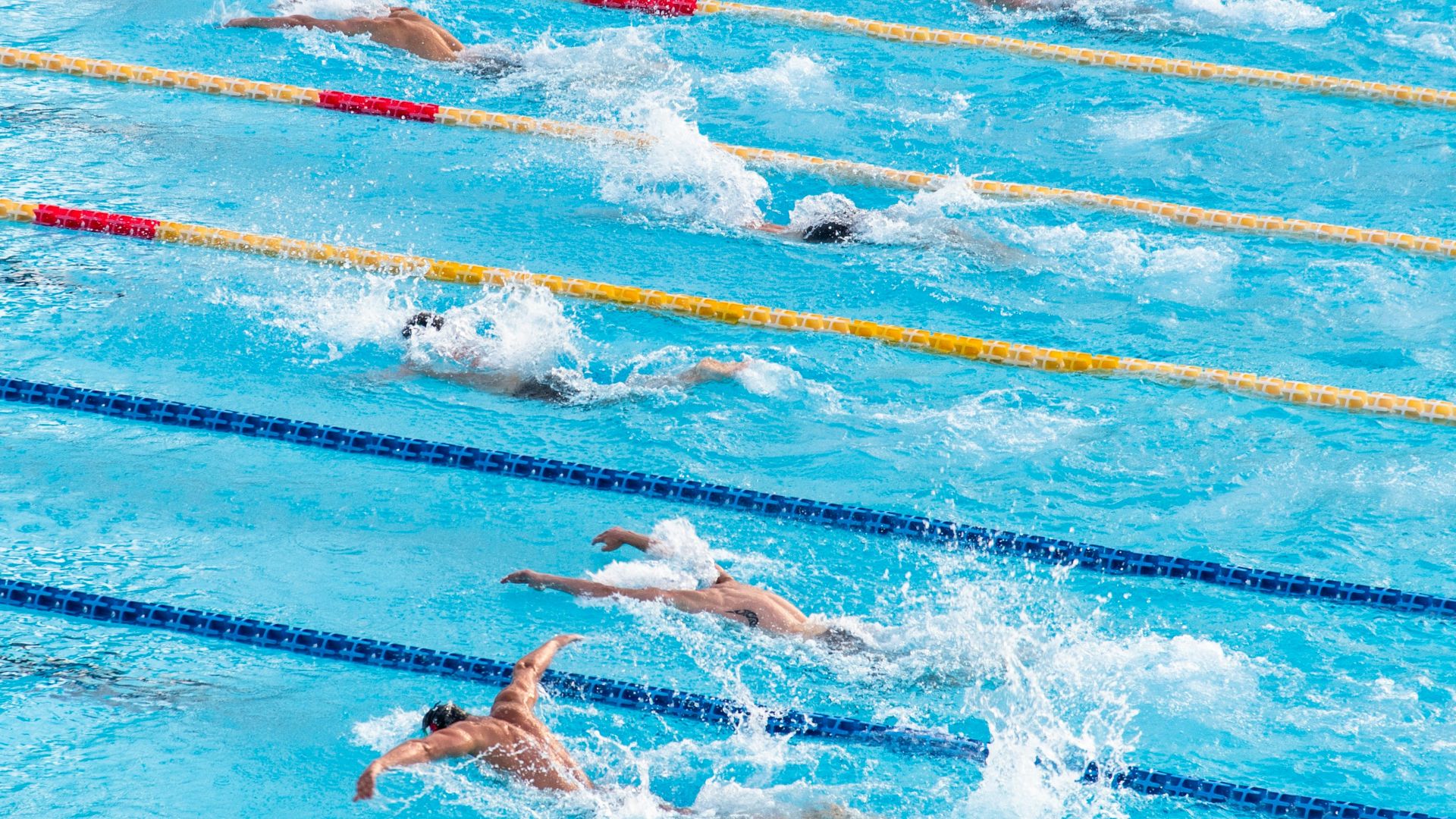 people in swimming pool