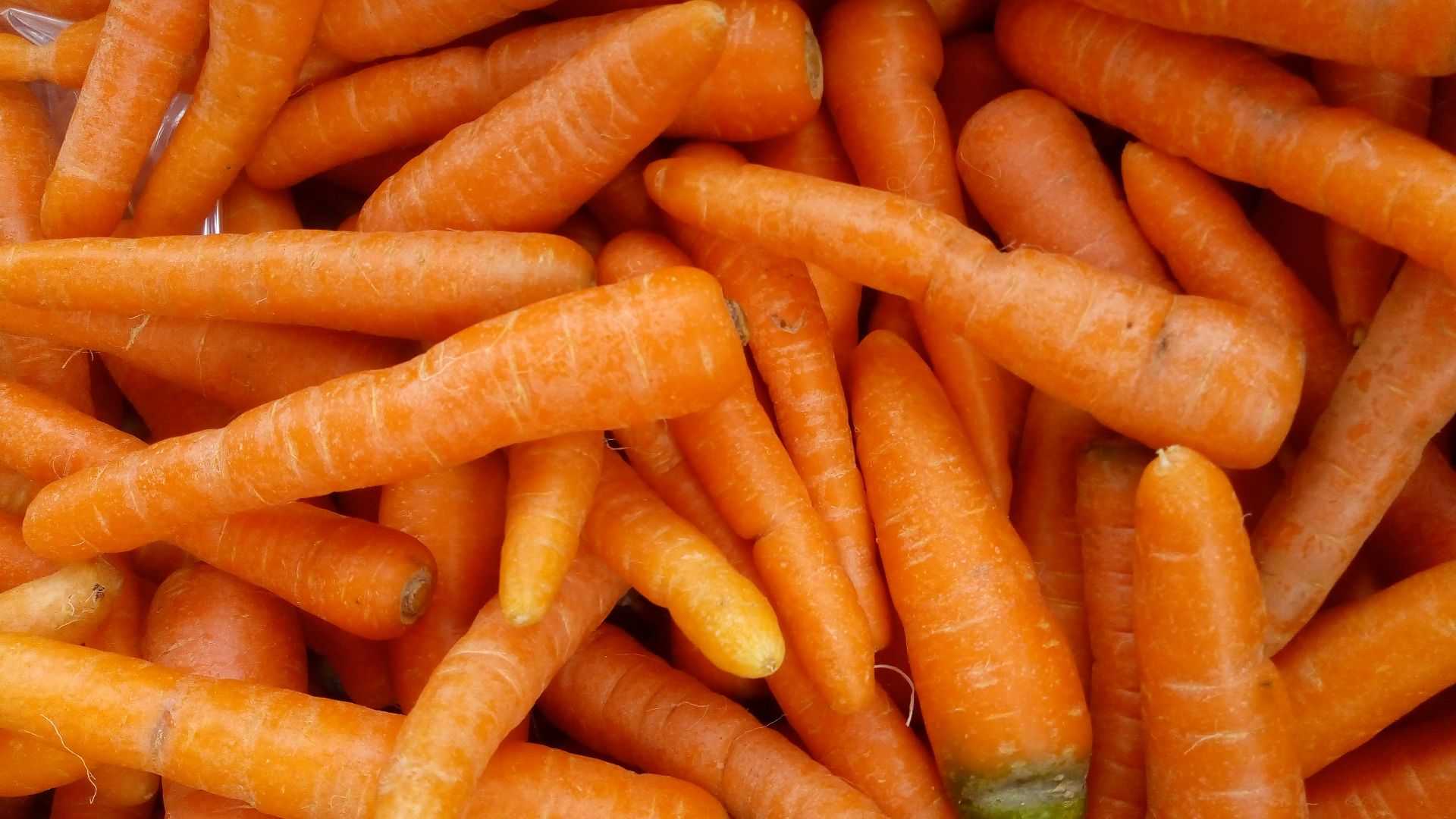 A pile of fresh, orange carrots.