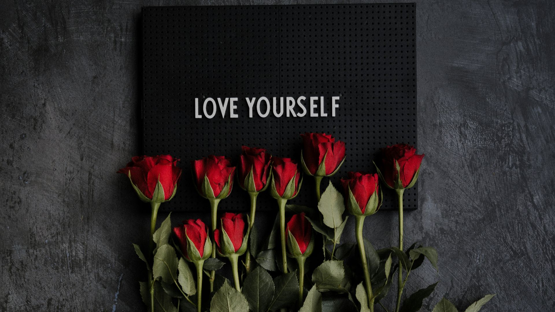 red rose on gray textile