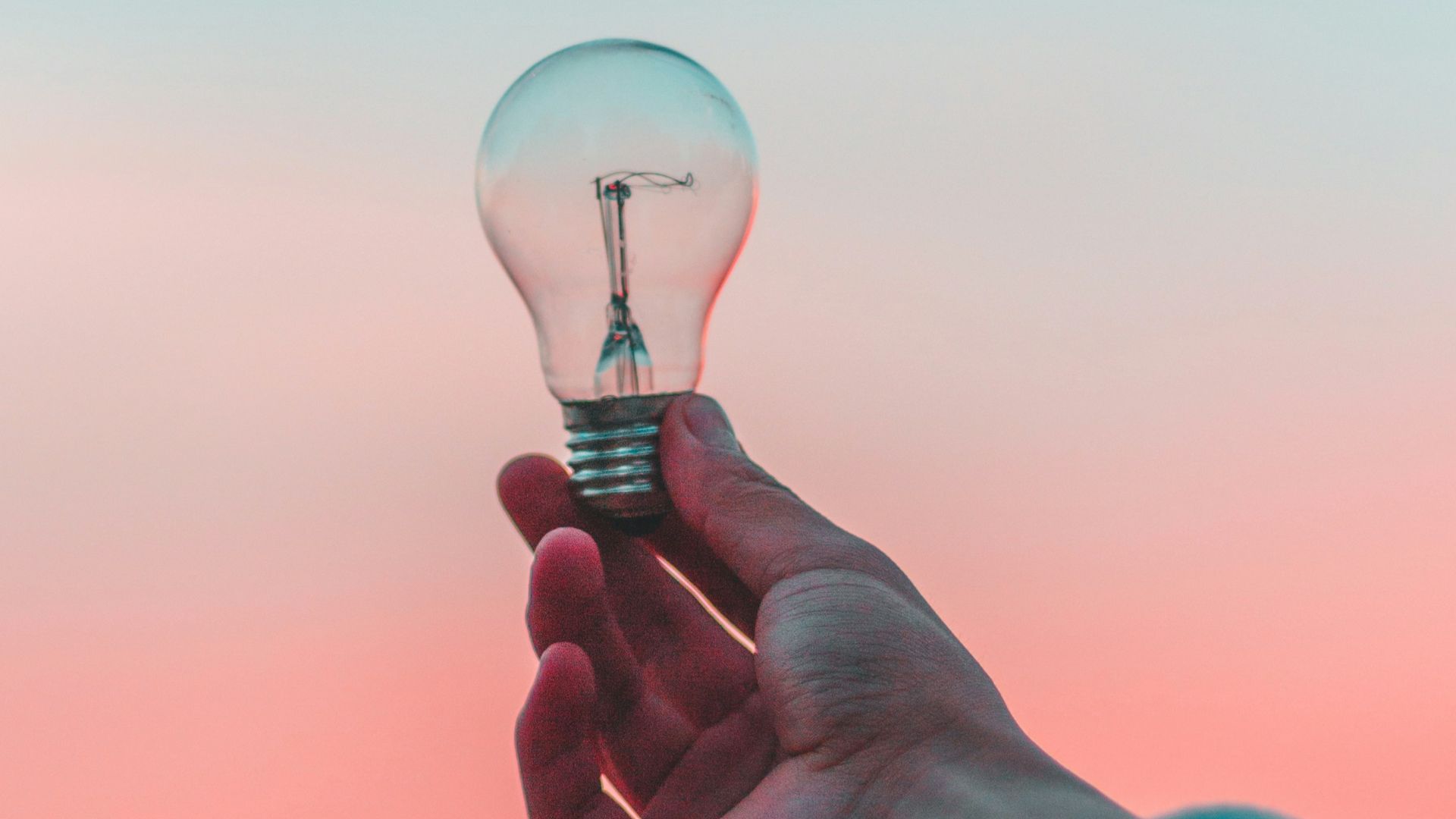 person holding light bulb