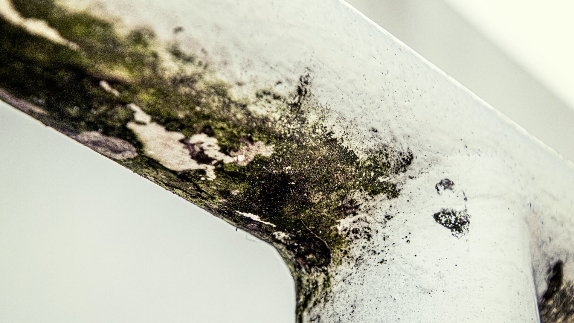 a close up of a piece of metal with moss growing on it