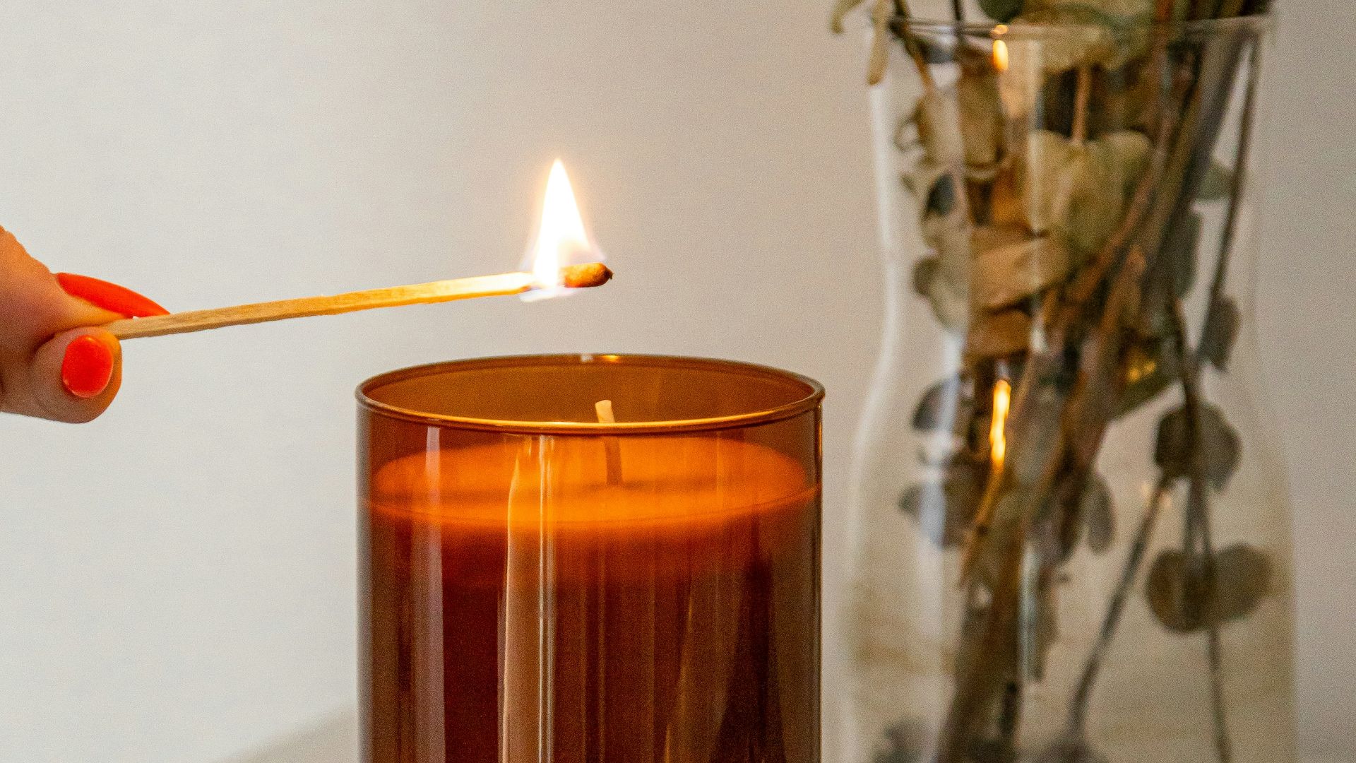 person holding lighted candle near green plant