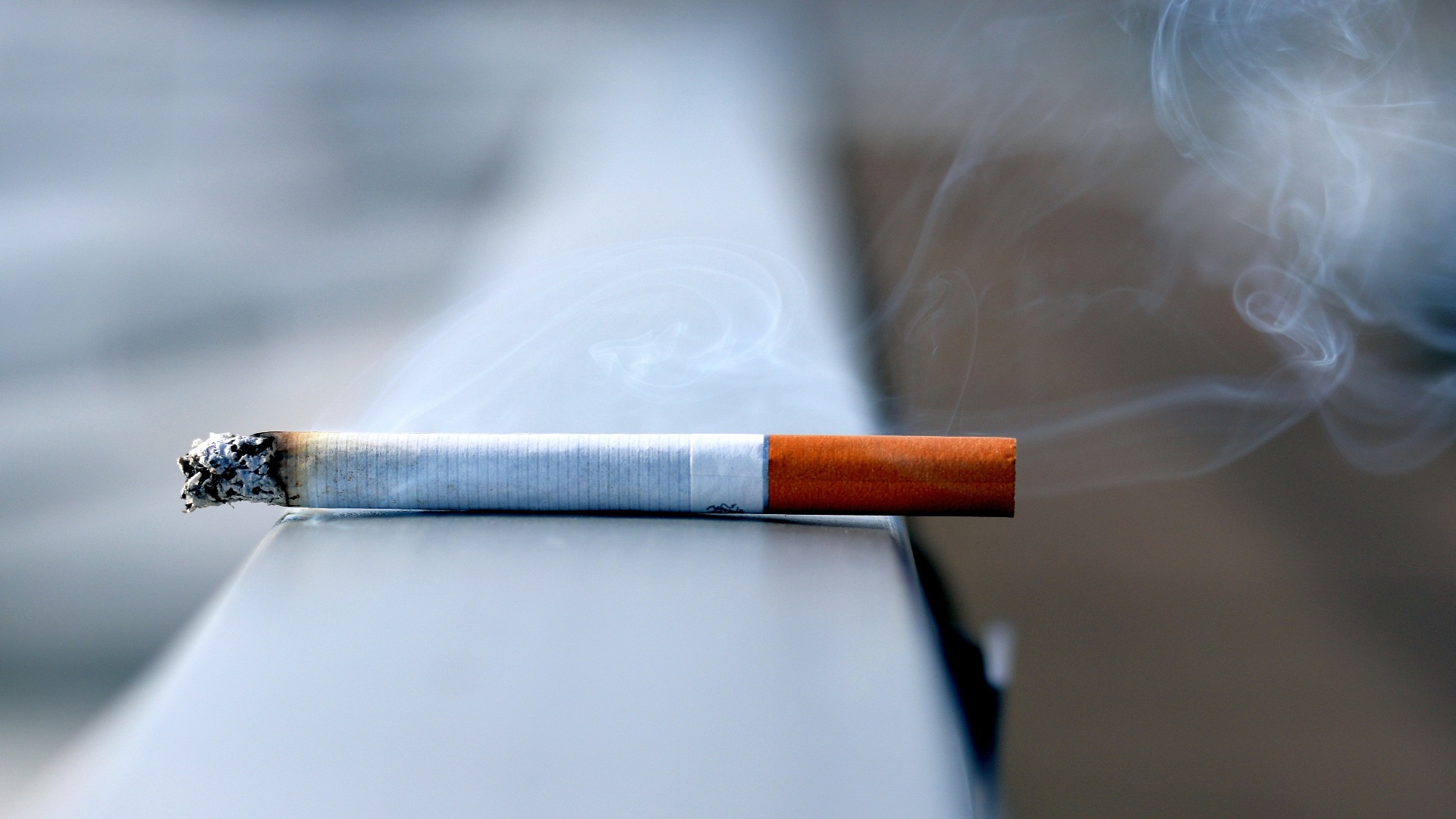 white cigarette stick on white wall