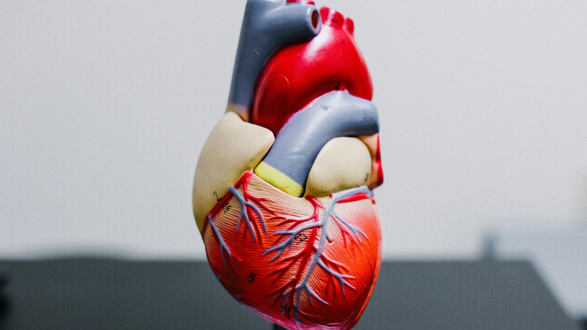 red and yellow bird figurine