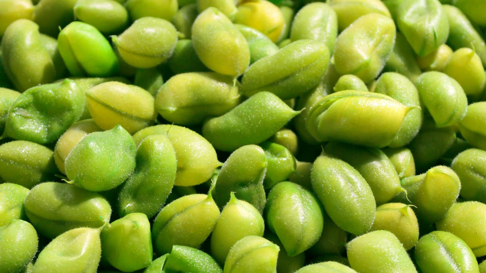 green fruits