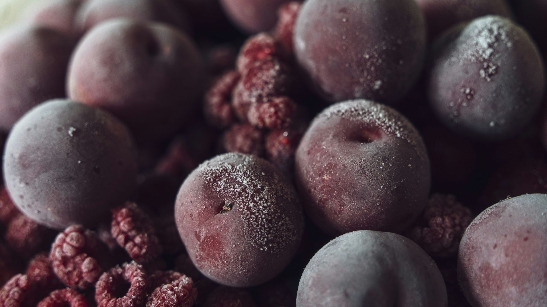 Frozen plums and raspberries with a dusting of frost.