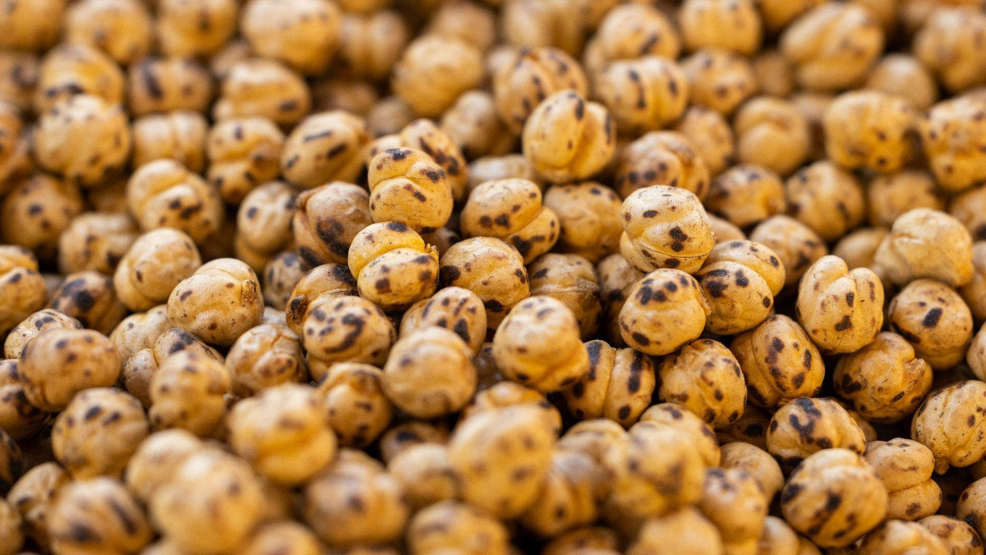 a close up of a bunch of brown and black speckles