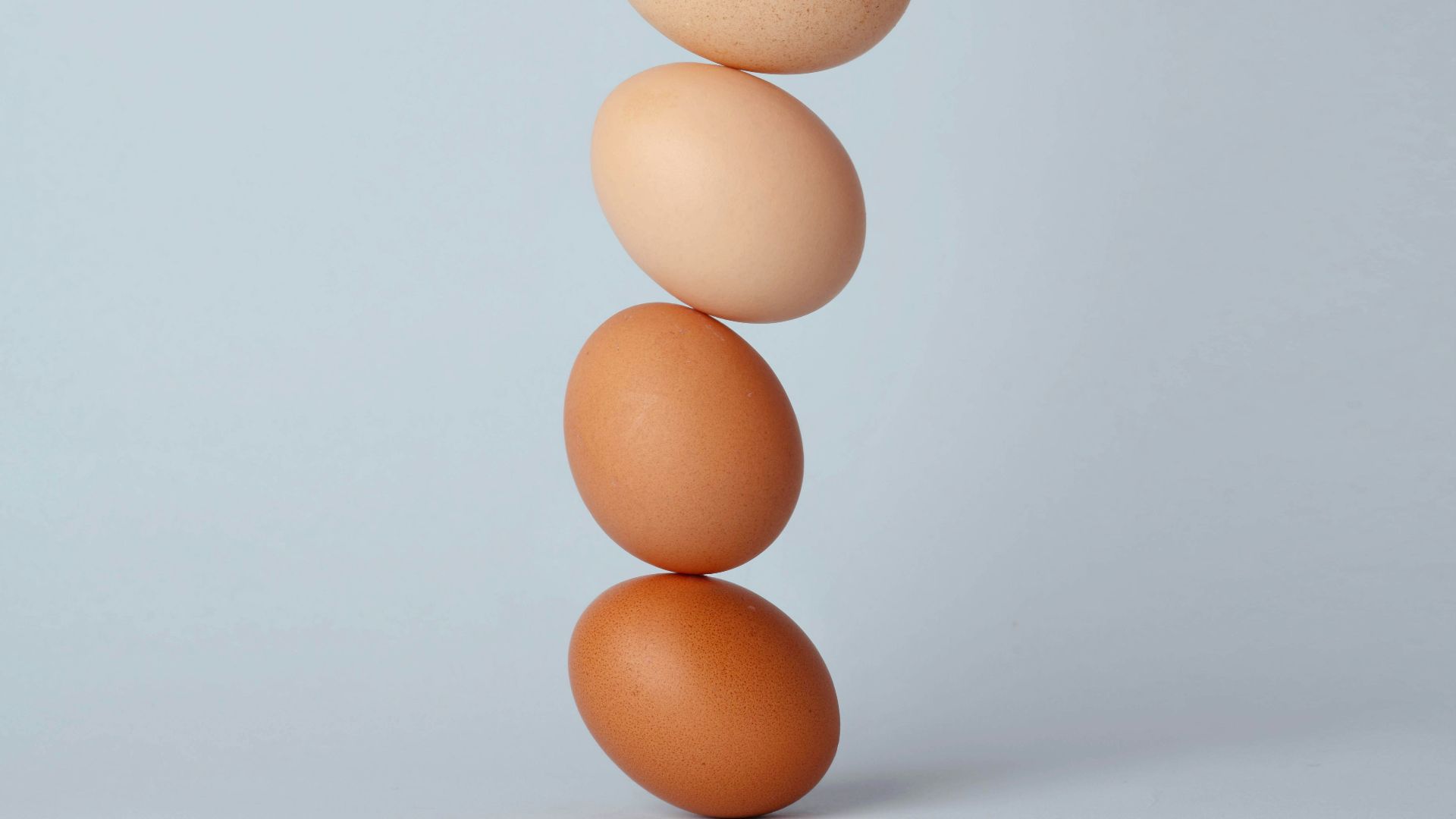 brown and white eggs