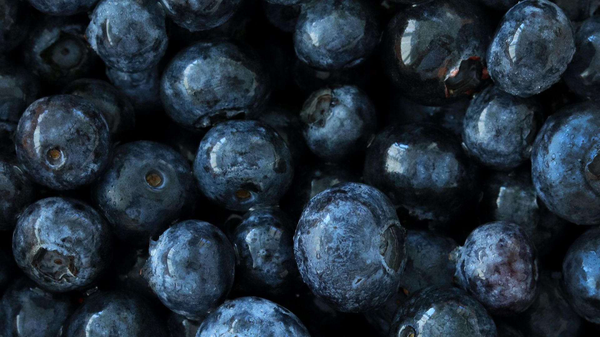 black round fruits on white background