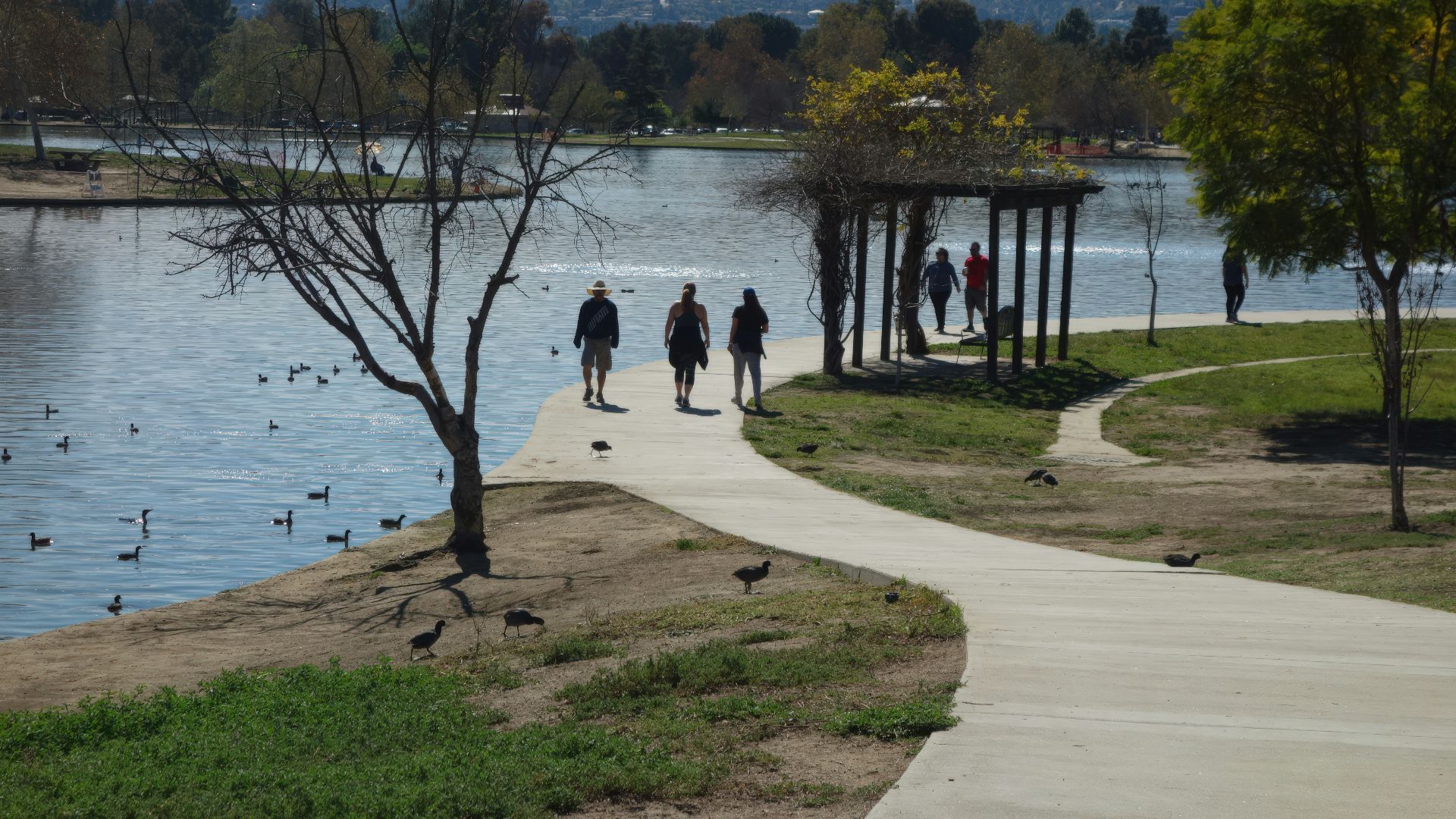 People walk along a path by a lake with ducks.
