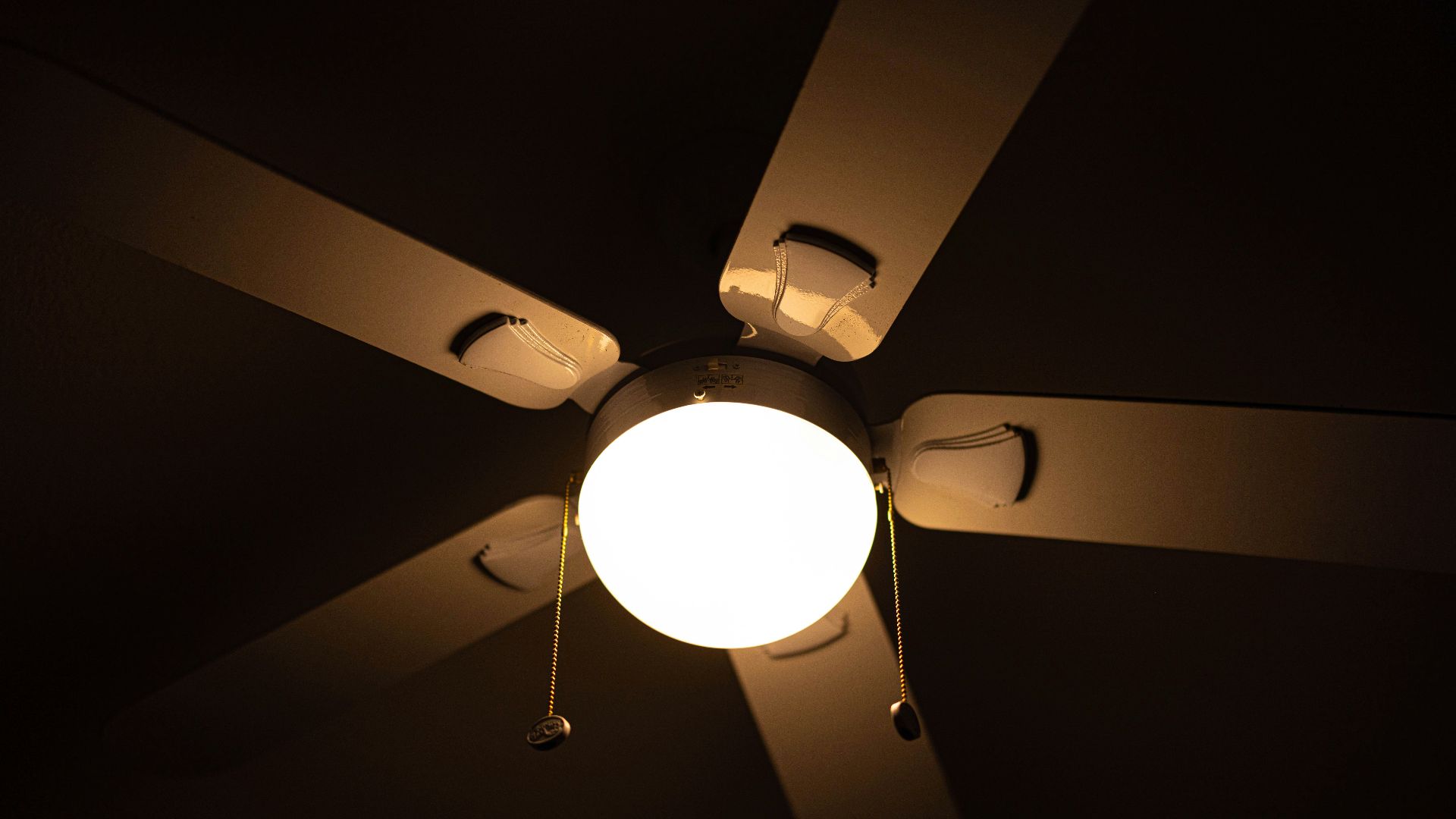 1779196951683e8c5b69470ee14d6d0264427955ef8d599842.jpg