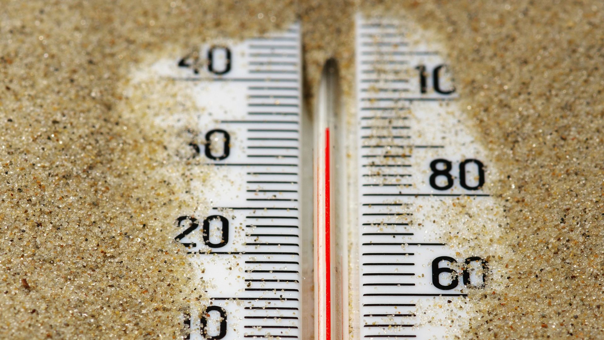 17792214619ae1809d7907d11c901415aad552e1725841fb07.jpg