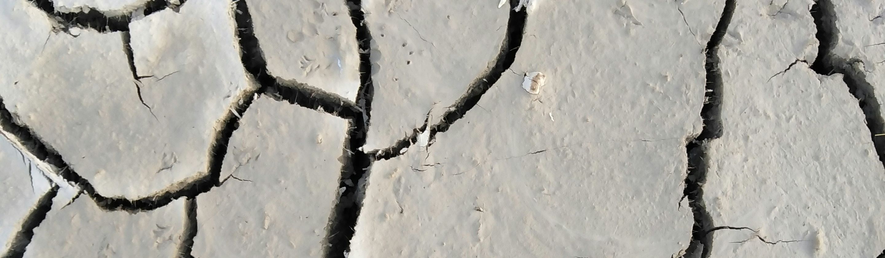 177922193971a34056b9efa730d41c0a2ae0c74c32502e45e4.jpg