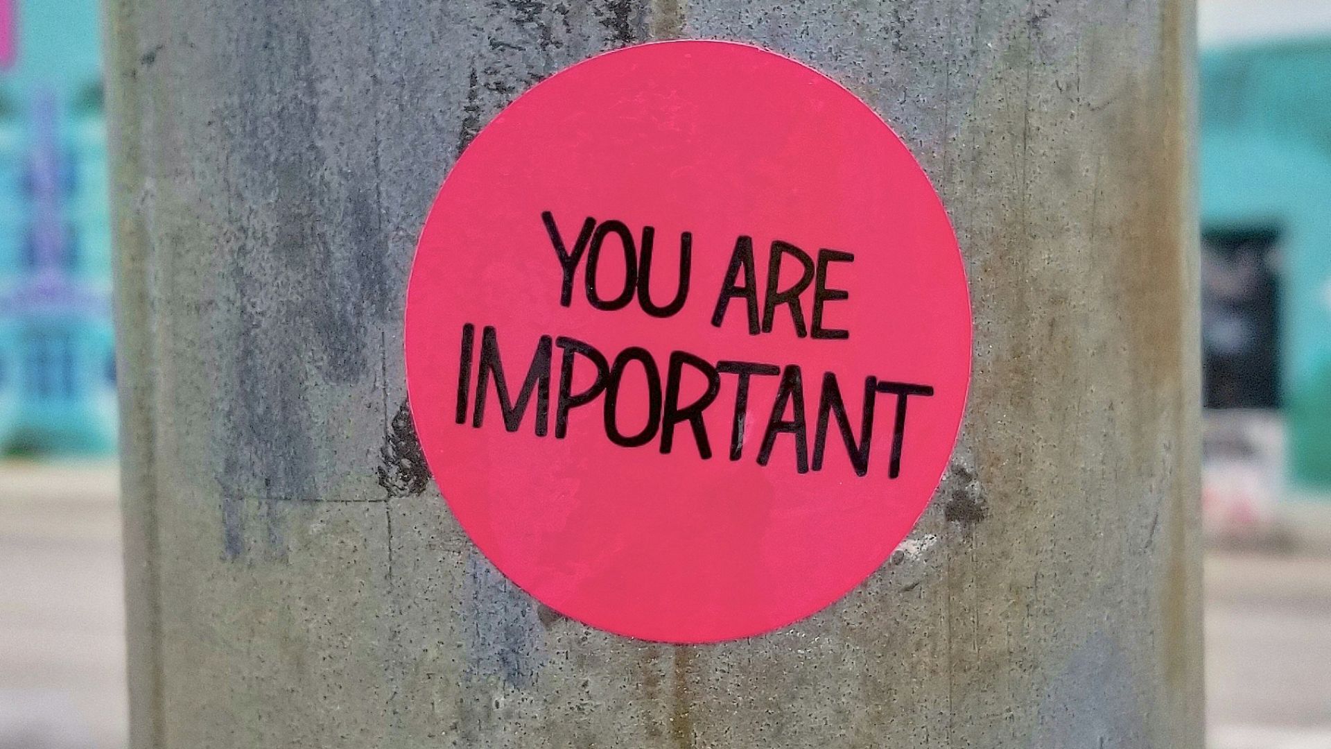 177808711816727f9ff54410ebda14972fb67841d2bcd3114c.jpg