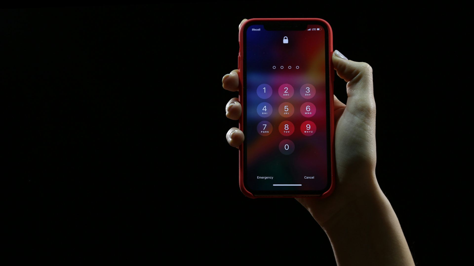 1778175468282985e7f07e18901616c277b5124884c35cd9f6.jpg