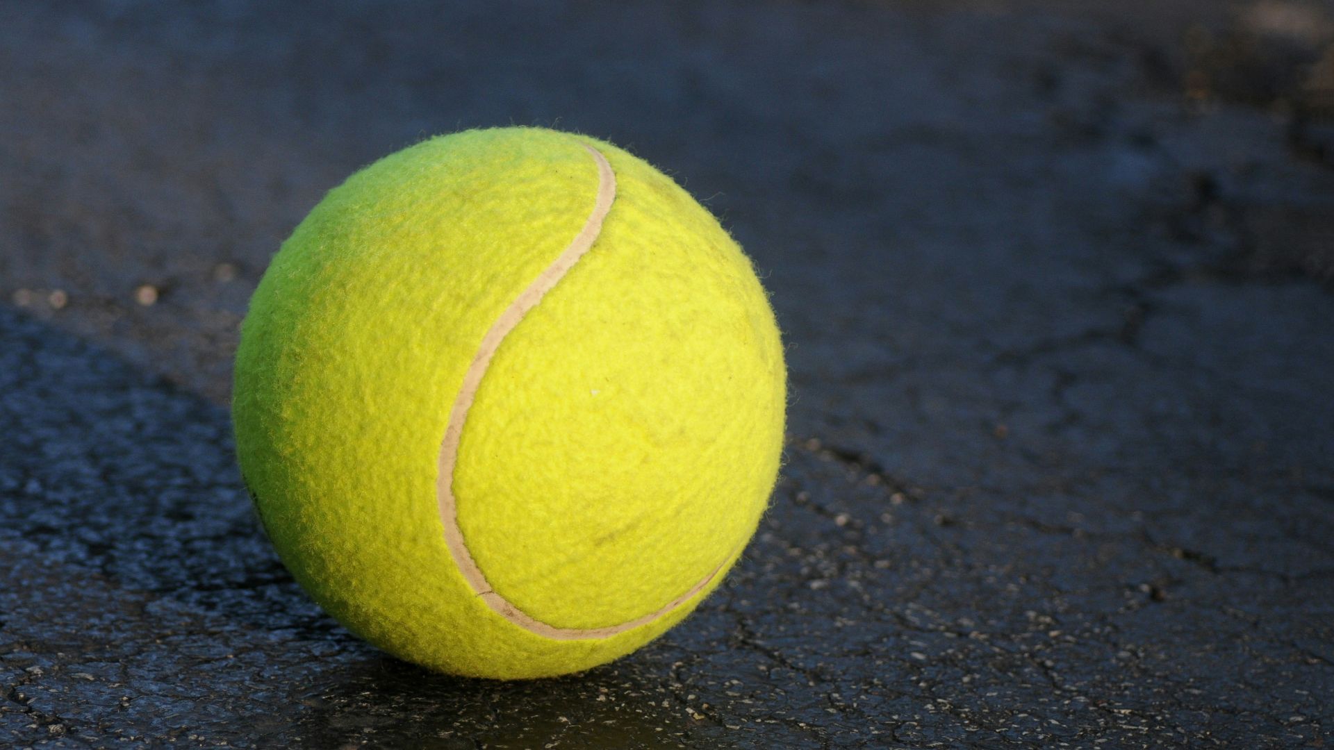 1781203125a25608581a5bf0e45c6a63945de0985cd082a586.jpg