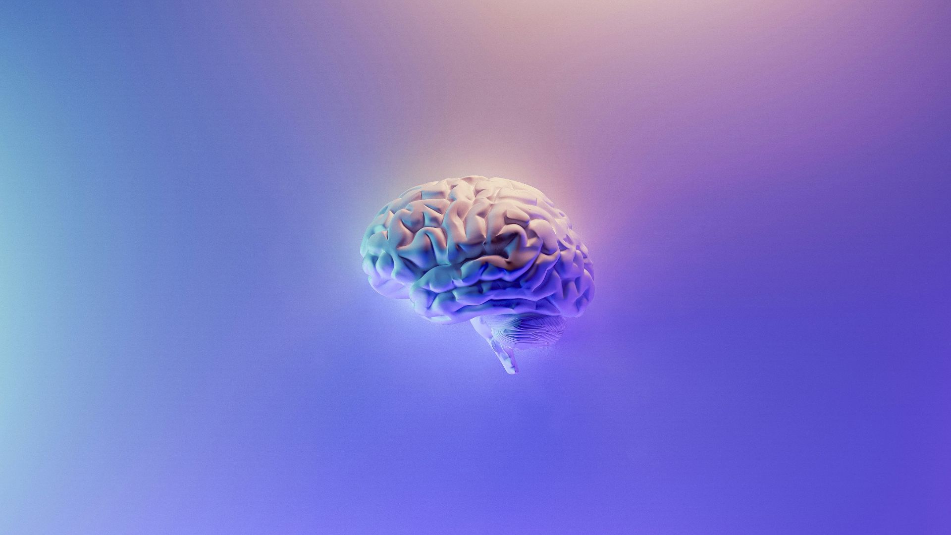 178155505621114f5f217550ab11283d199a54b8fc7cf1d0e2.jpg