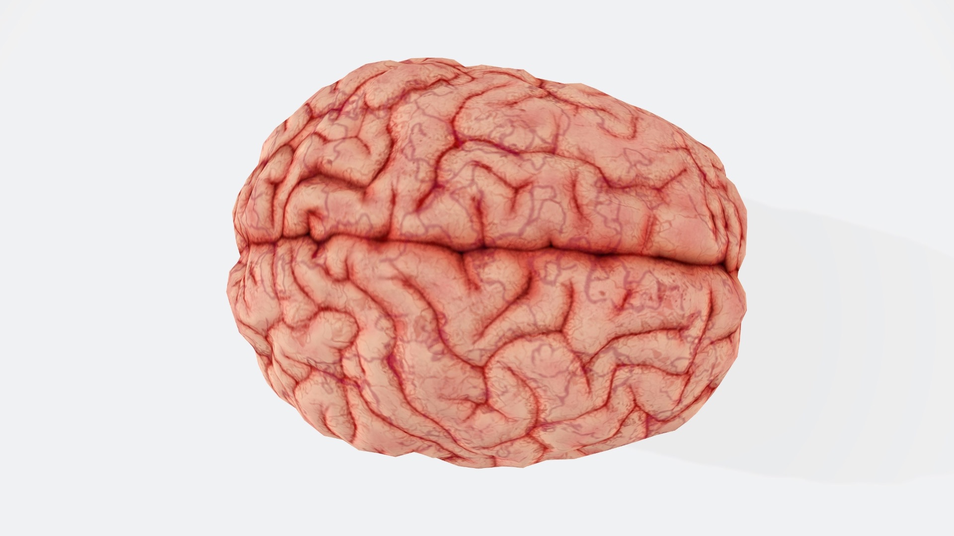 1781804045d8dff5fc685ca7ff11d219e6b4691198d106e846.jpg
