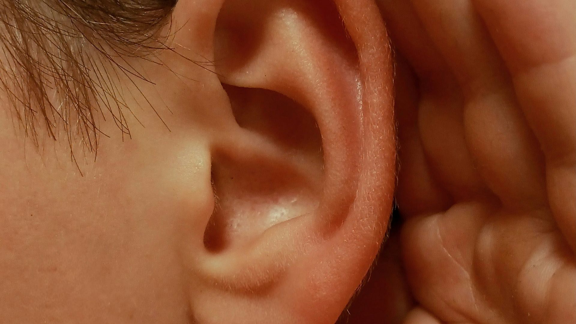 1782765340f243c6ac1ad3f405dd13db5525a2e01accde14f8.jpg