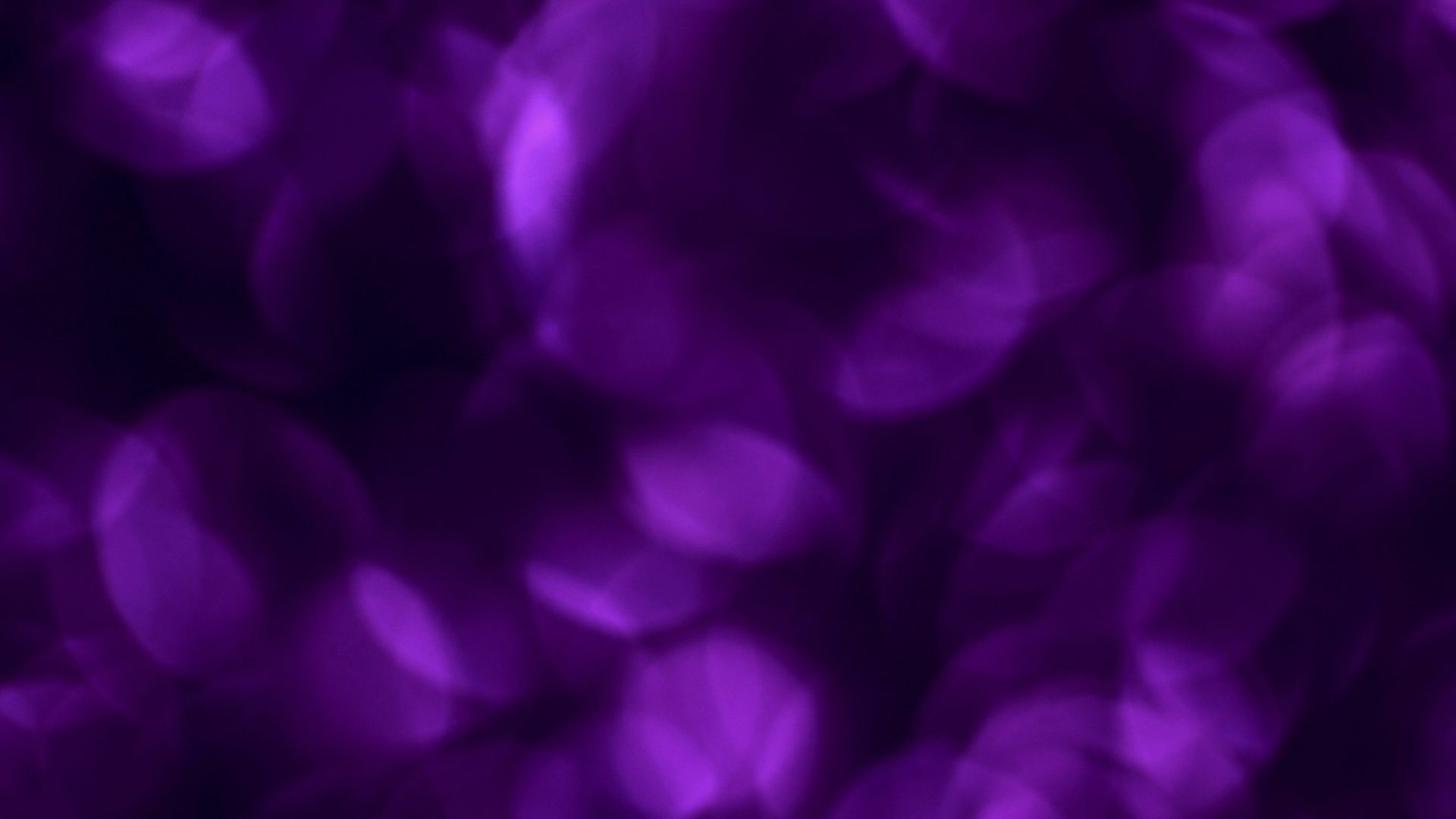 1780514378b95abaa8bf9ac30ae045c60d8575b7a06b448bee.jpg