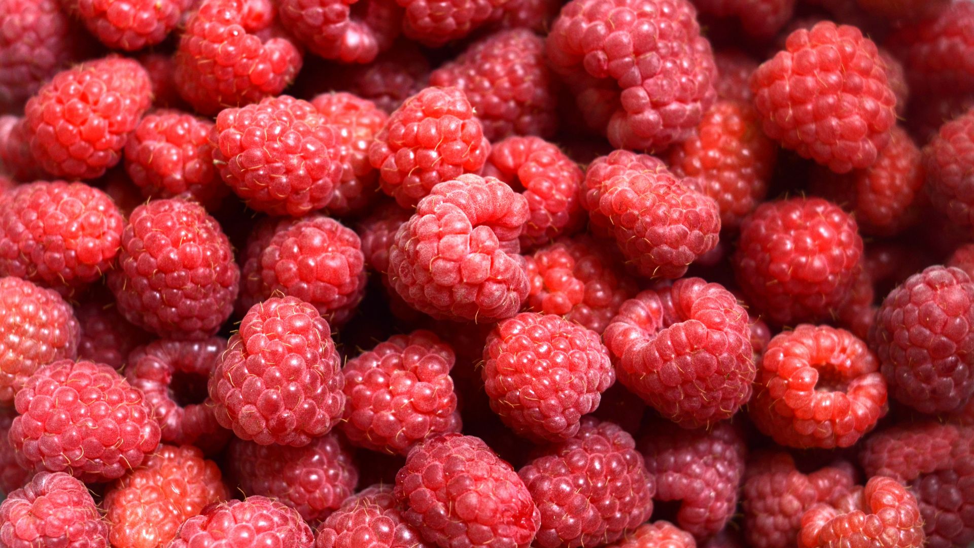 1783701620fa4037625218378f5fbfca9e1307fd598f8a93d7.jpg