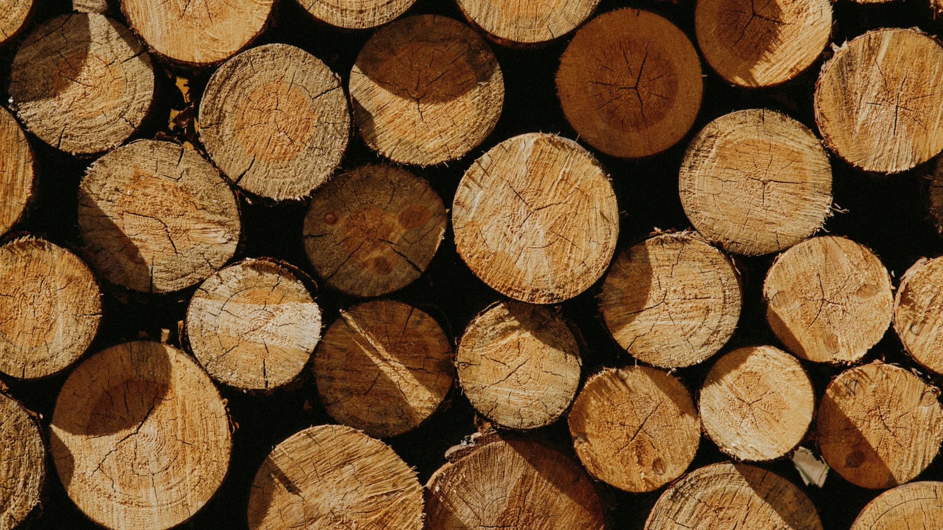1784922692fc74533cd6196edd949139de2d93b7093f266c25.jpg