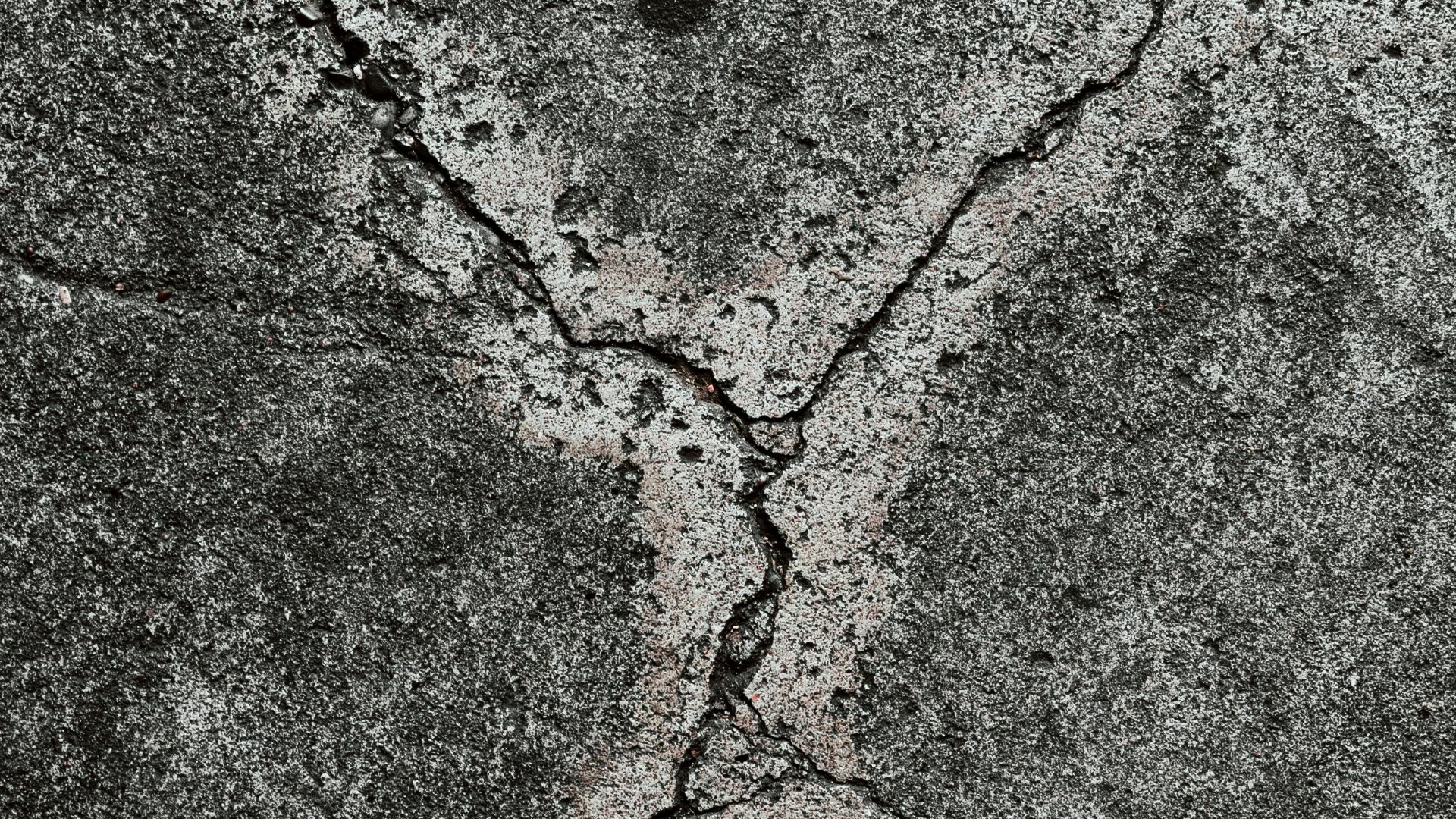 1784922779e89fd34d40a7e40356256ce8514145aa5f9da3c8.jpg